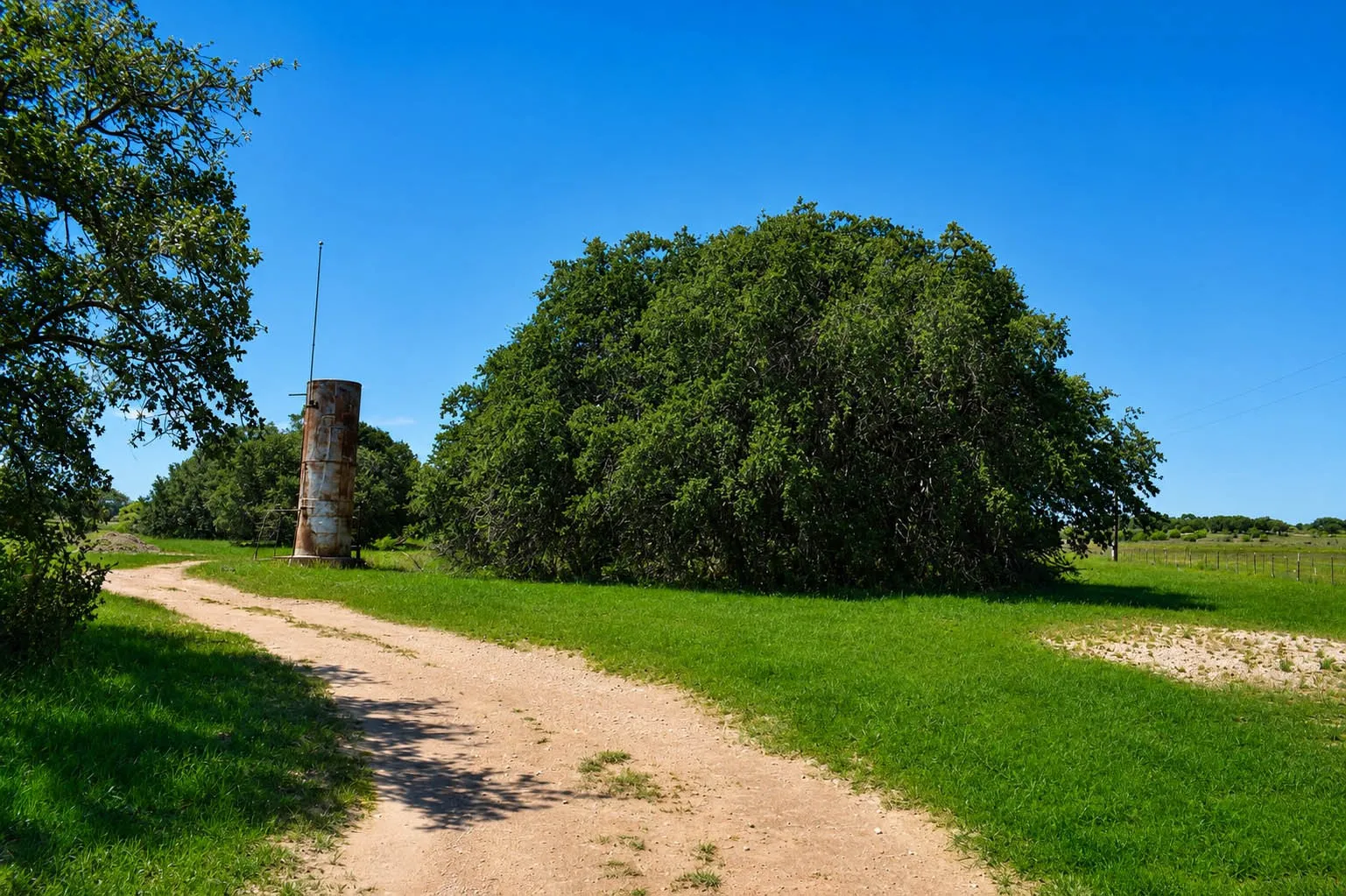 Ranch For Sale in Mc Culloch County , 8228 US HWY 377, Rochelle, Texas 76872, 0, 0, Garage spaces, 0 Sqft, built in 2022, mls#21369443, Real Estate Agent in Rochelle, Homes For Sale in Mc Culloch county, Homes For Sale in Rochelle, Realtor in Rochelle Texas, Real Estate Brokerage Independent Realty Texas, Luminita Cordes Realtor