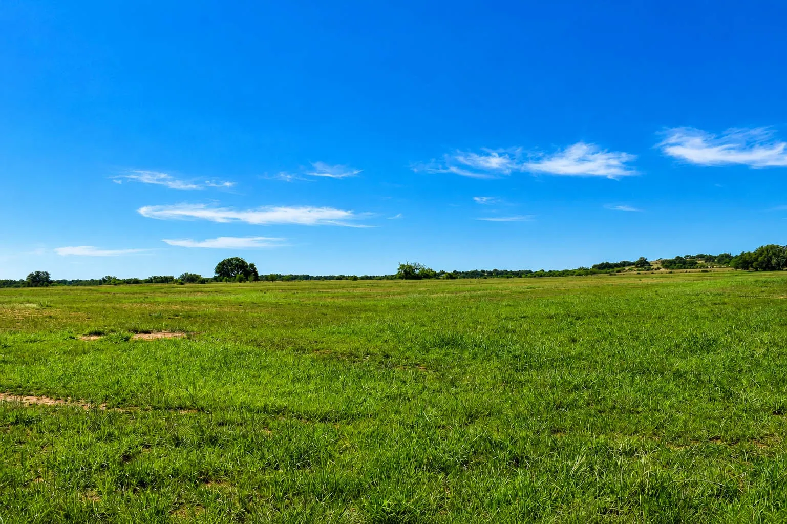 Ranch For Sale in Mc Culloch County , 8228 US HWY 377, Rochelle, Texas 76872, 0, 0, Garage spaces, 0 Sqft, built in 2022, mls#21369443, Real Estate Agent in Rochelle, Homes For Sale in Mc Culloch county, Homes For Sale in Rochelle, Realtor in Rochelle Texas, Real Estate Brokerage Independent Realty Texas, Luminita Cordes Realtor