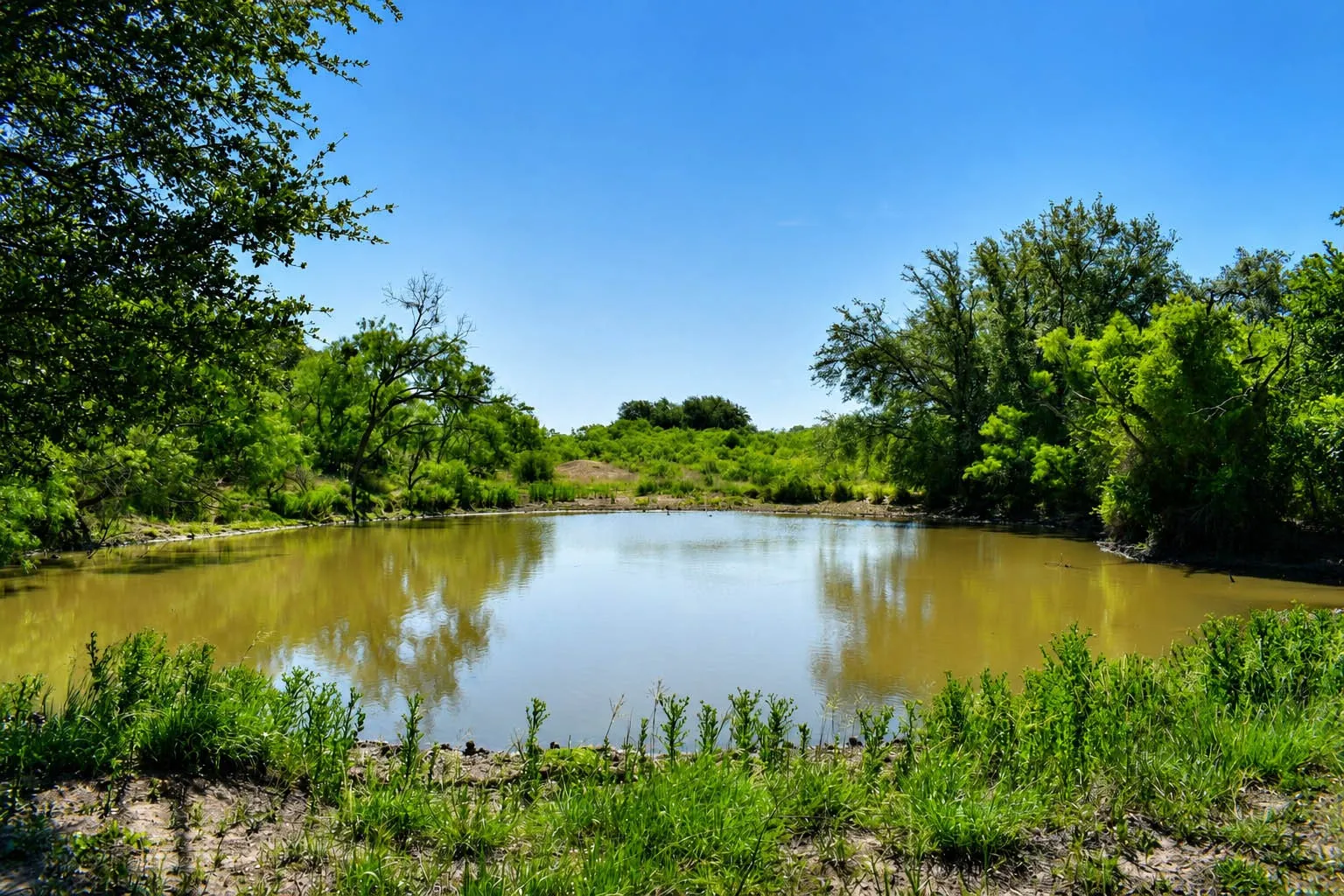 Ranch For Sale in Mc Culloch County , 8228 US HWY 377, Rochelle, Texas 76872, 0, 0, Garage spaces, 0 Sqft, built in 2022, mls#21369443, Real Estate Agent in Rochelle, Homes For Sale in Mc Culloch county, Homes For Sale in Rochelle, Realtor in Rochelle Texas, Real Estate Brokerage Independent Realty Texas, Luminita Cordes Realtor