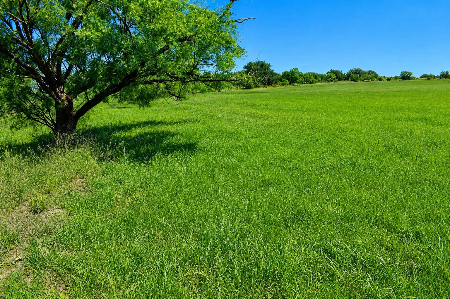 Ranch For Sale in Mc Culloch County , 8228 US HWY 377, Rochelle, Texas 76872, 0, 0, Garage spaces, 0 Sqft, built in 2022, mls#21369443, Real Estate Agent in Rochelle, Homes For Sale in Mc Culloch county, Homes For Sale in Rochelle, Realtor in Rochelle Texas, Real Estate Brokerage Independent Realty Texas, Luminita Cordes Realtor