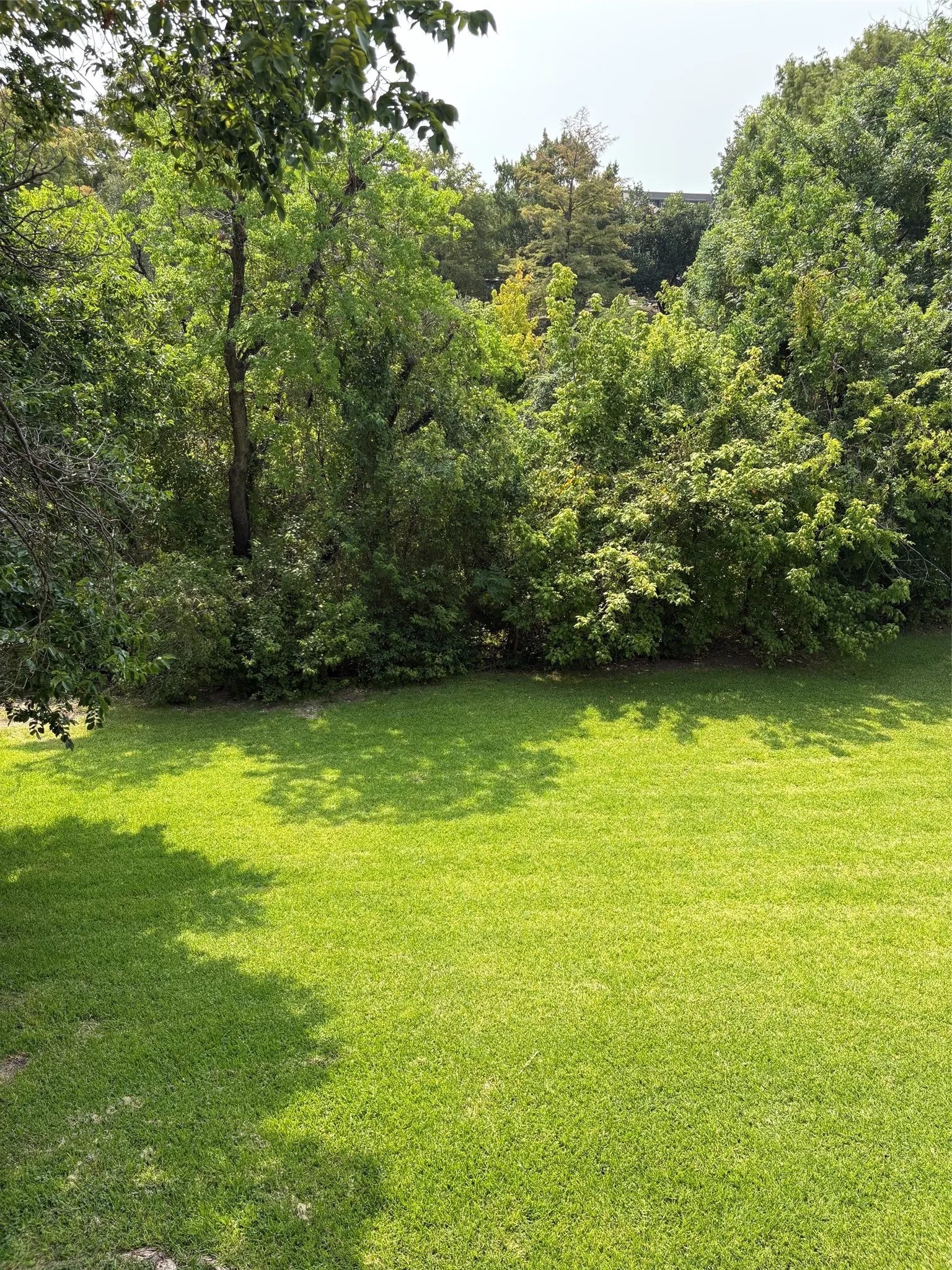 View greenbelt from balcony.