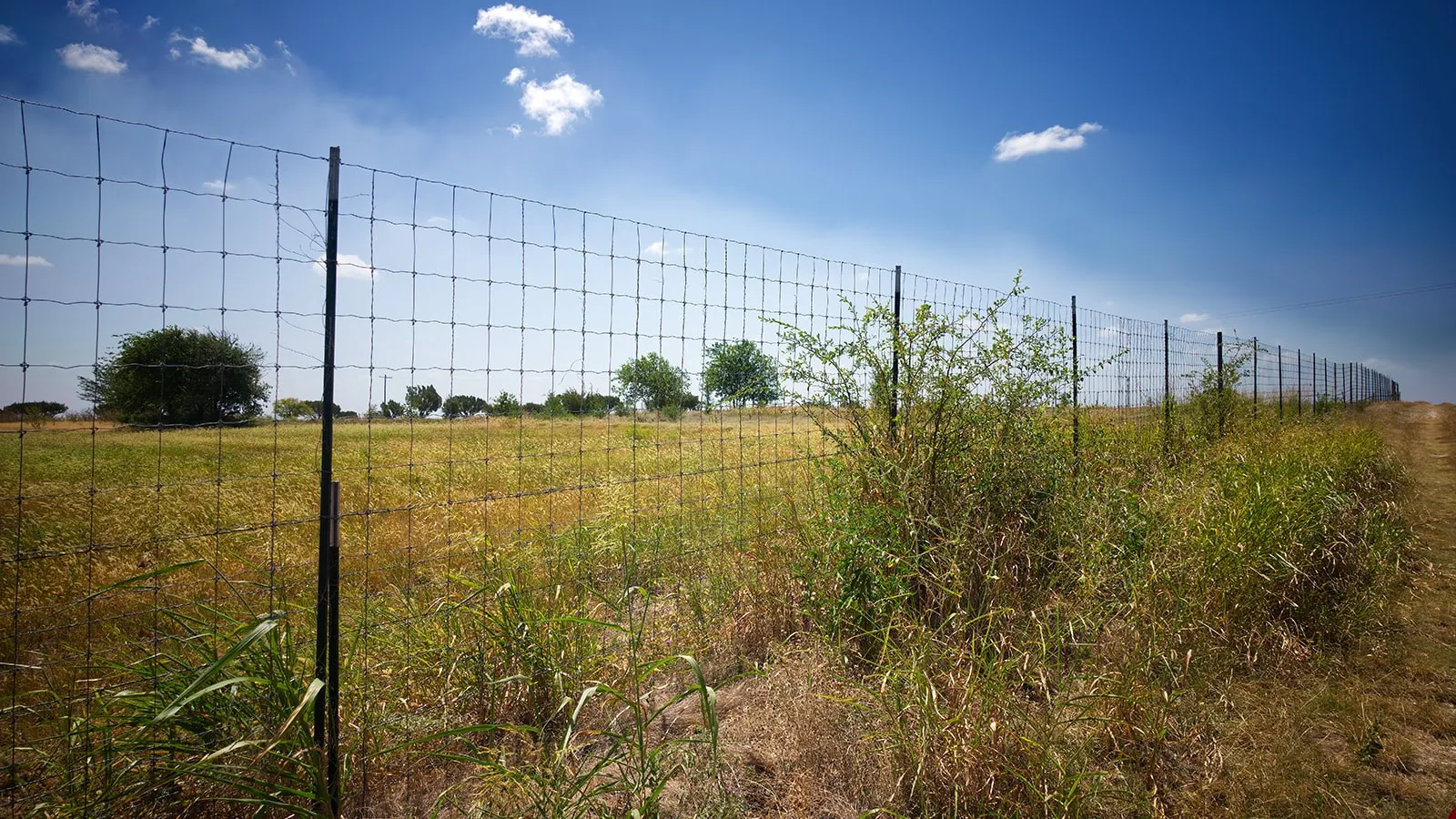 Ranch For Sale in Hamilton County , 000 County Road 409, Hamilton, Texas 76531, 0, 0, Garage spaces, 0 Sqft, built in 2021, mls#21369234, Real Estate Agent in Hamilton, Homes For Sale in Hamilton county, Homes For Sale in Hamilton, Realtor in Hamilton Texas, Real Estate Brokerage Independent Realty Texas, Luminita Cordes Realtor