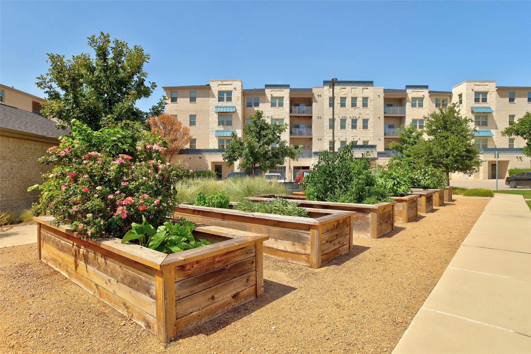 Condominium For Sale in Collin County , 651 N Watters Road 1204, Allen, Texas 75013, 2 Bedroom, 2 Bathroom, 1 Garage spaces, 1,709 Sqft, built in 2022, mls#21368257, Real Estate Agent in Allen, Homes For Sale in Collin county, Homes For Sale in Allen, Realtor in Allen Texas, Real Estate Brokerage Independent Realty Texas, Luminita Cordes Realtor