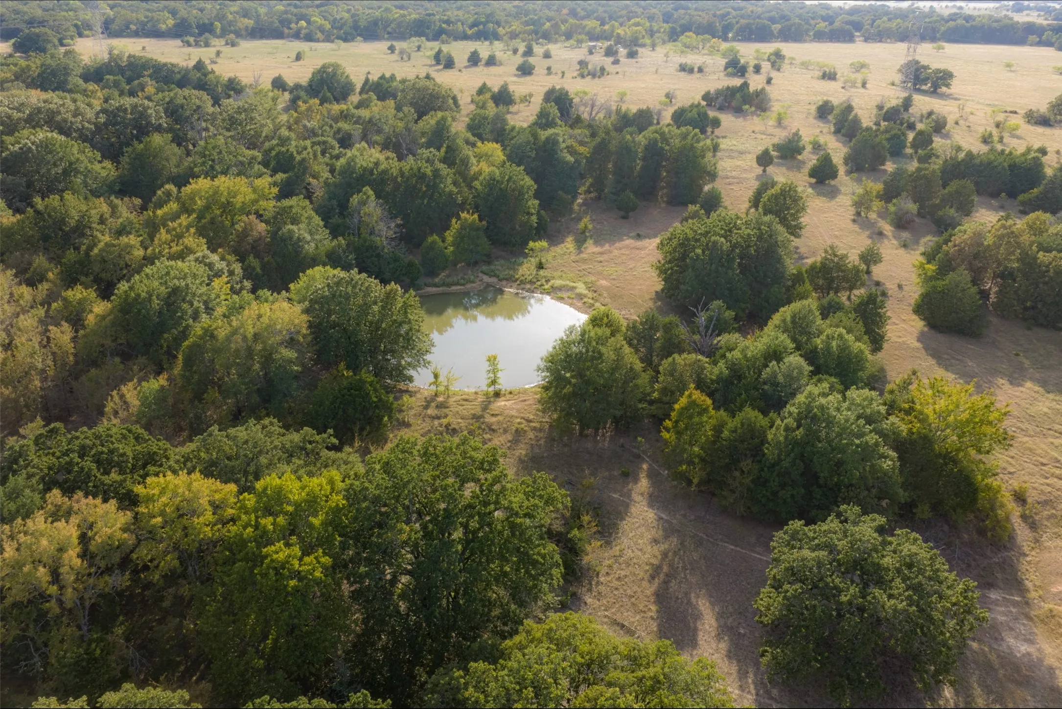 Unimproved Land For Sale in Navarro County , 0 CR 4200, Kerens, Texas 75144, 0, 0, Garage spaces, 0 Sqft, built in 0, mls#21369554, Real Estate Agent in Kerens, Homes For Sale in Navarro county, Homes For Sale in Kerens, Realtor in Kerens Texas, Real Estate Brokerage Independent Realty Texas, Luminita Cordes Realtor
