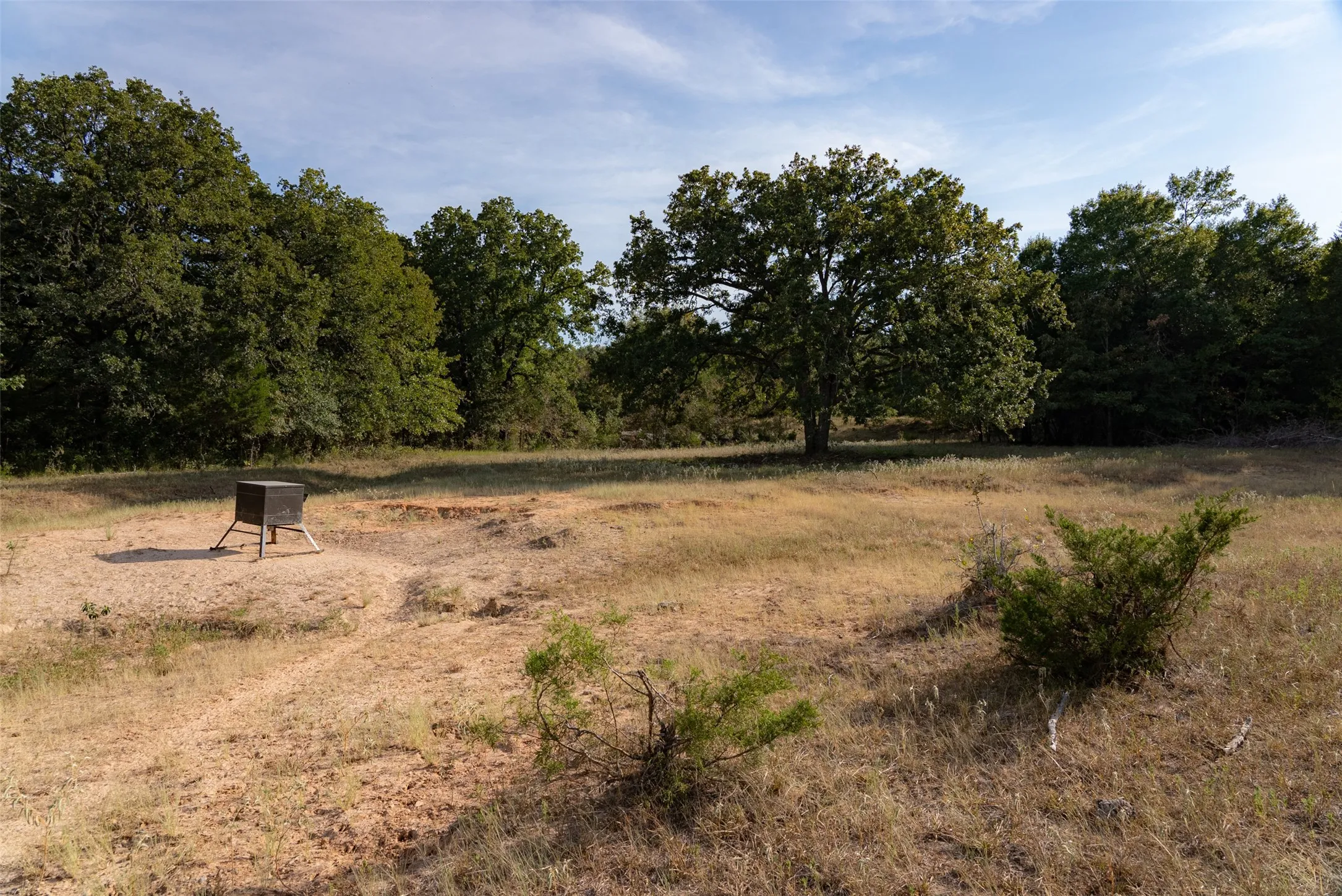 Unimproved Land For Sale in Navarro County , 0 CR 4200, Kerens, Texas 75144, 0, 0, Garage spaces, 0 Sqft, built in 0, mls#21369554, Real Estate Agent in Kerens, Homes For Sale in Navarro county, Homes For Sale in Kerens, Realtor in Kerens Texas, Real Estate Brokerage Independent Realty Texas, Luminita Cordes Realtor