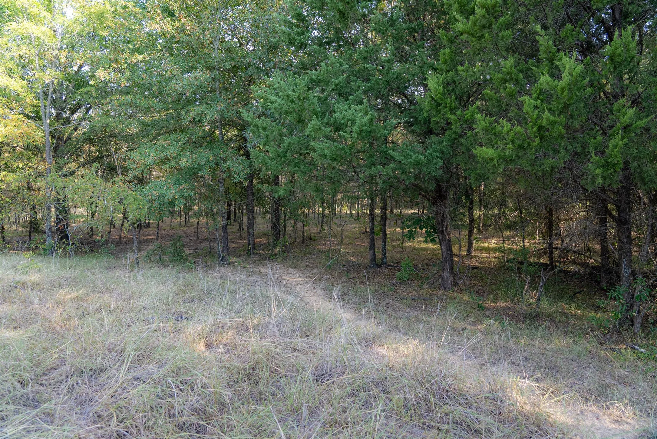 Unimproved Land For Sale in Navarro County , 0 CR 4200, Kerens, Texas 75144, 0, 0, Garage spaces, 0 Sqft, built in 0, mls#21369554, Real Estate Agent in Kerens, Homes For Sale in Navarro county, Homes For Sale in Kerens, Realtor in Kerens Texas, Real Estate Brokerage Independent Realty Texas, Luminita Cordes Realtor