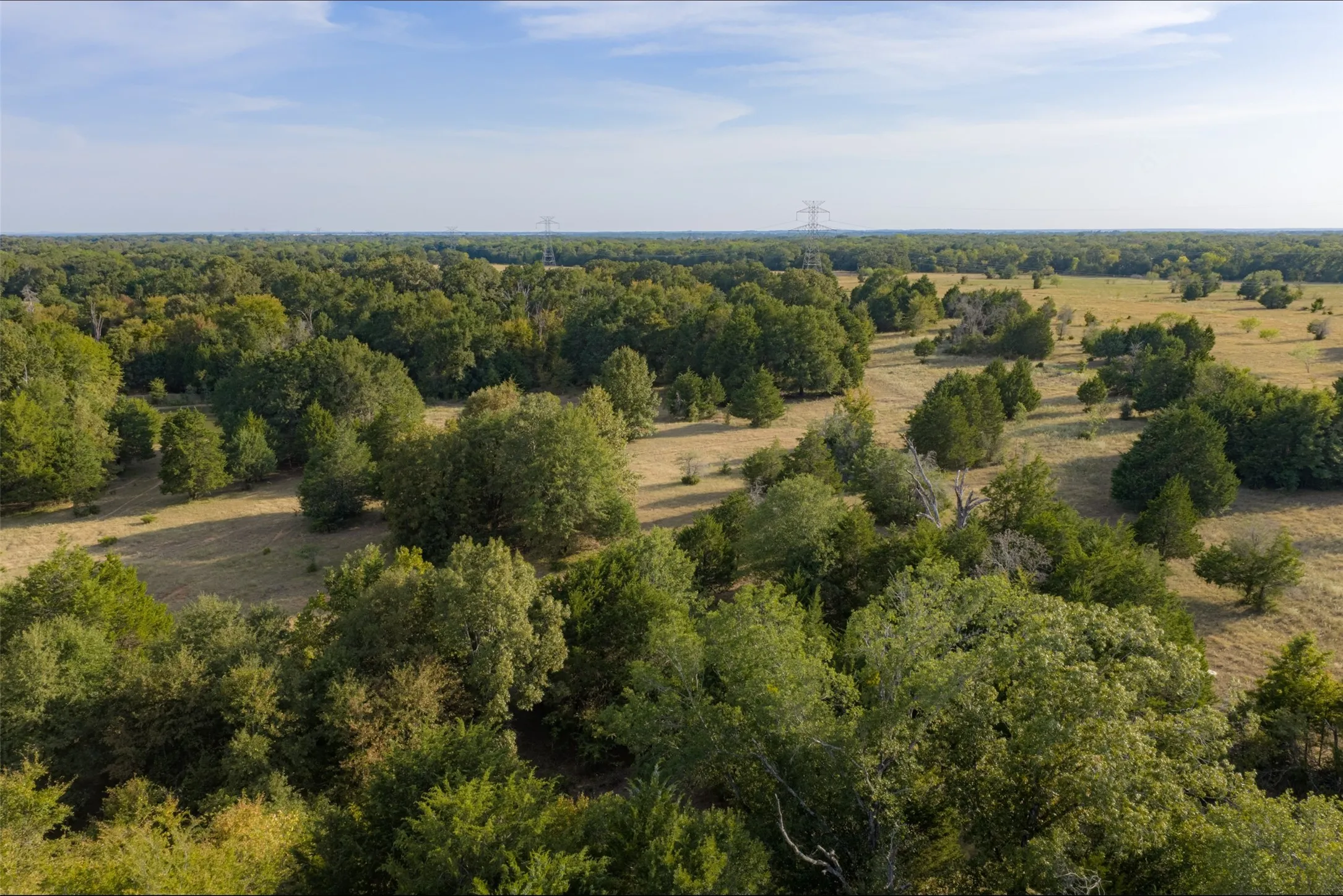 Unimproved Land For Sale in Navarro County , 0 CR 4200, Kerens, Texas 75144, 0, 0, Garage spaces, 0 Sqft, built in 0, mls#21369554, Real Estate Agent in Kerens, Homes For Sale in Navarro county, Homes For Sale in Kerens, Realtor in Kerens Texas, Real Estate Brokerage Independent Realty Texas, Luminita Cordes Realtor