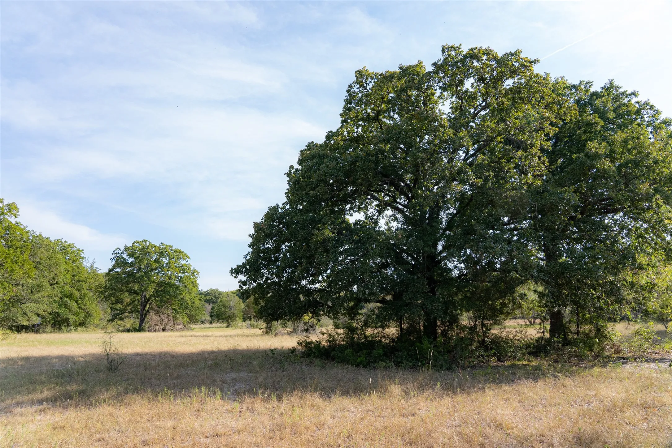 Unimproved Land For Sale in Navarro County , 0 CR 4200, Kerens, Texas 75144, 0, 0, Garage spaces, 0 Sqft, built in 0, mls#21369554, Real Estate Agent in Kerens, Homes For Sale in Navarro county, Homes For Sale in Kerens, Realtor in Kerens Texas, Real Estate Brokerage Independent Realty Texas, Luminita Cordes Realtor