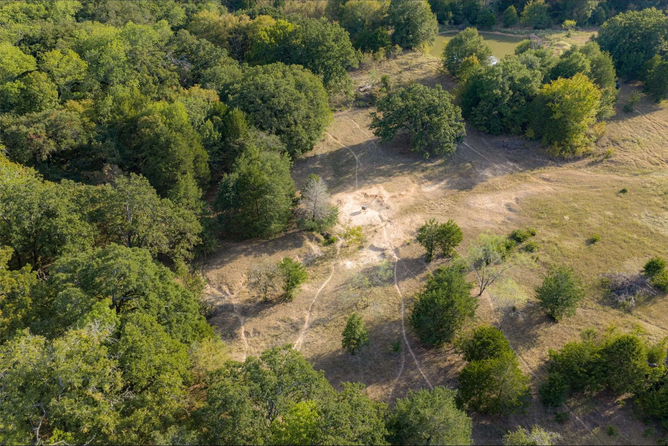 Unimproved Land For Sale in Navarro County , 0 CR 4200, Kerens, Texas 75144, 0, 0, Garage spaces, 0 Sqft, built in 0, mls#21369554, Real Estate Agent in Kerens, Homes For Sale in Navarro county, Homes For Sale in Kerens, Realtor in Kerens Texas, Real Estate Brokerage Independent Realty Texas, Luminita Cordes Realtor