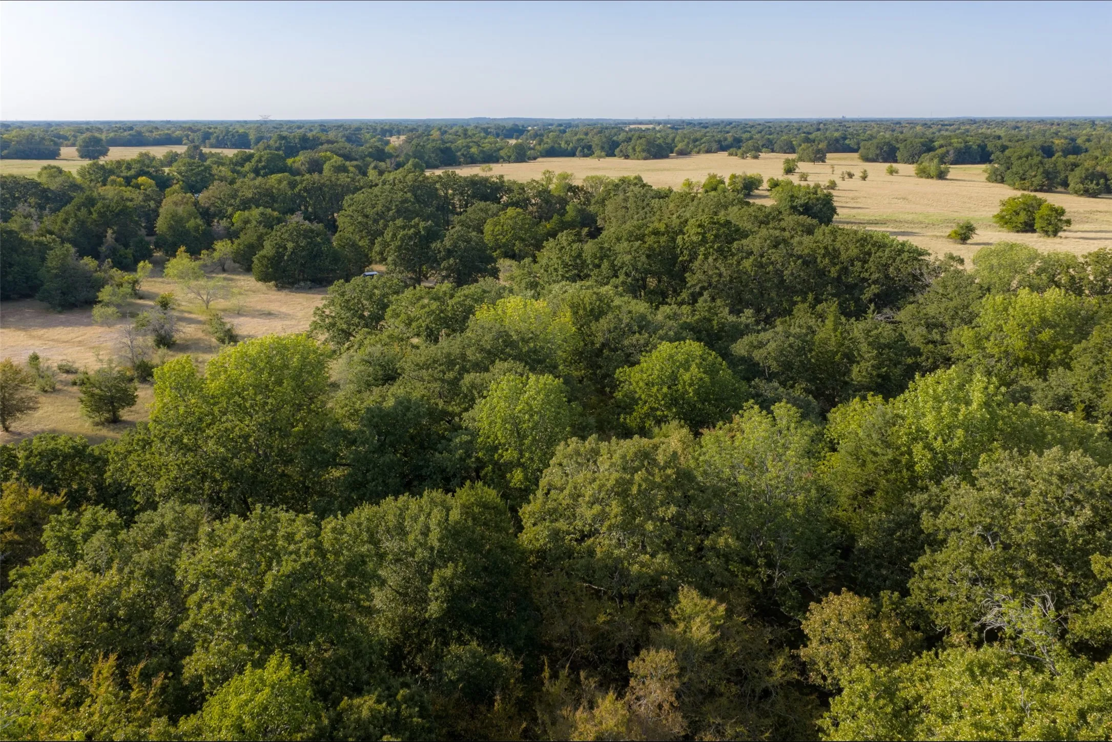 Unimproved Land For Sale in Navarro County , 0 CR 4200, Kerens, Texas 75144, 0, 0, Garage spaces, 0 Sqft, built in 0, mls#21369554, Real Estate Agent in Kerens, Homes For Sale in Navarro county, Homes For Sale in Kerens, Realtor in Kerens Texas, Real Estate Brokerage Independent Realty Texas, Luminita Cordes Realtor