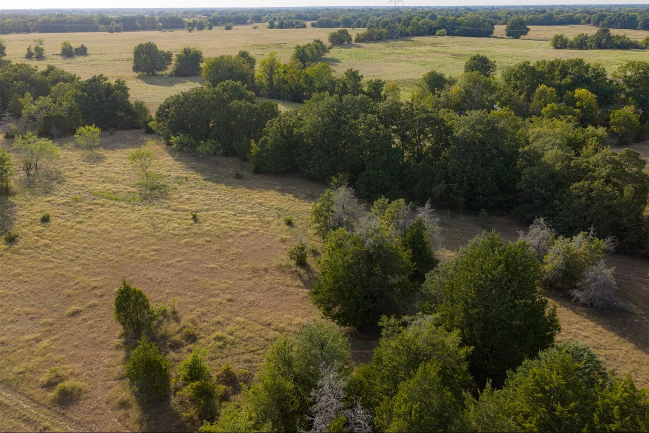 Unimproved Land For Sale in Navarro County , 0 CR 4200, Kerens, Texas 75144, 0, 0, Garage spaces, 0 Sqft, built in 0, mls#21369554, Real Estate Agent in Kerens, Homes For Sale in Navarro county, Homes For Sale in Kerens, Realtor in Kerens Texas, Real Estate Brokerage Independent Realty Texas, Luminita Cordes Realtor