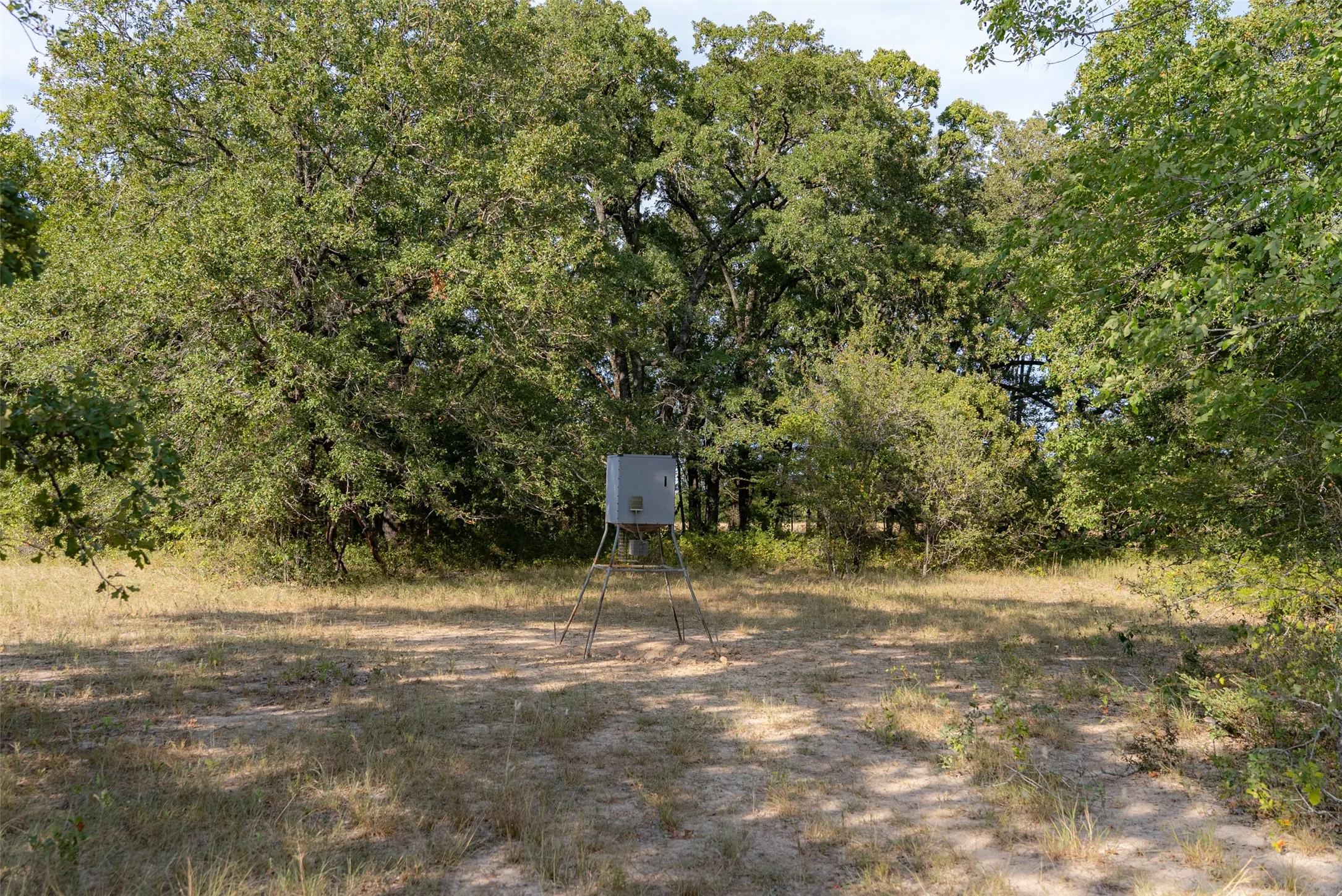 Unimproved Land For Sale in Navarro County , 0 CR 4200, Kerens, Texas 75144, 0, 0, Garage spaces, 0 Sqft, built in 0, mls#21369554, Real Estate Agent in Kerens, Homes For Sale in Navarro county, Homes For Sale in Kerens, Realtor in Kerens Texas, Real Estate Brokerage Independent Realty Texas, Luminita Cordes Realtor