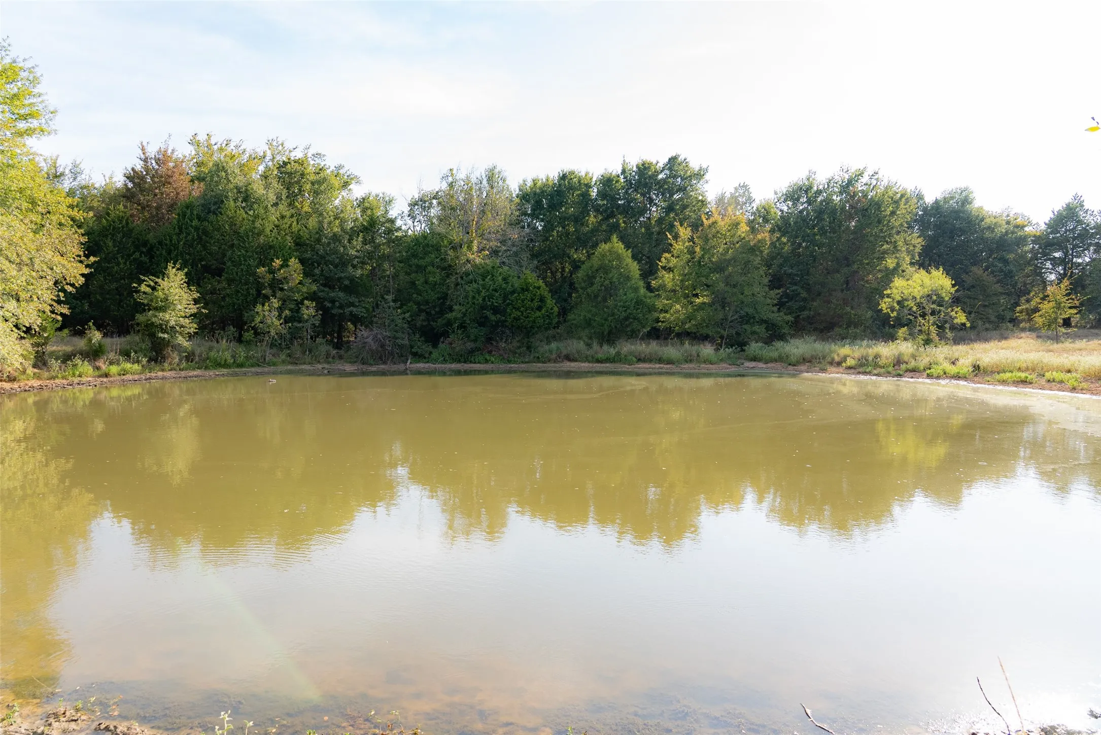 Unimproved Land For Sale in Navarro County , 0 CR 4200, Kerens, Texas 75144, 0, 0, Garage spaces, 0 Sqft, built in 0, mls#21369554, Real Estate Agent in Kerens, Homes For Sale in Navarro county, Homes For Sale in Kerens, Realtor in Kerens Texas, Real Estate Brokerage Independent Realty Texas, Luminita Cordes Realtor