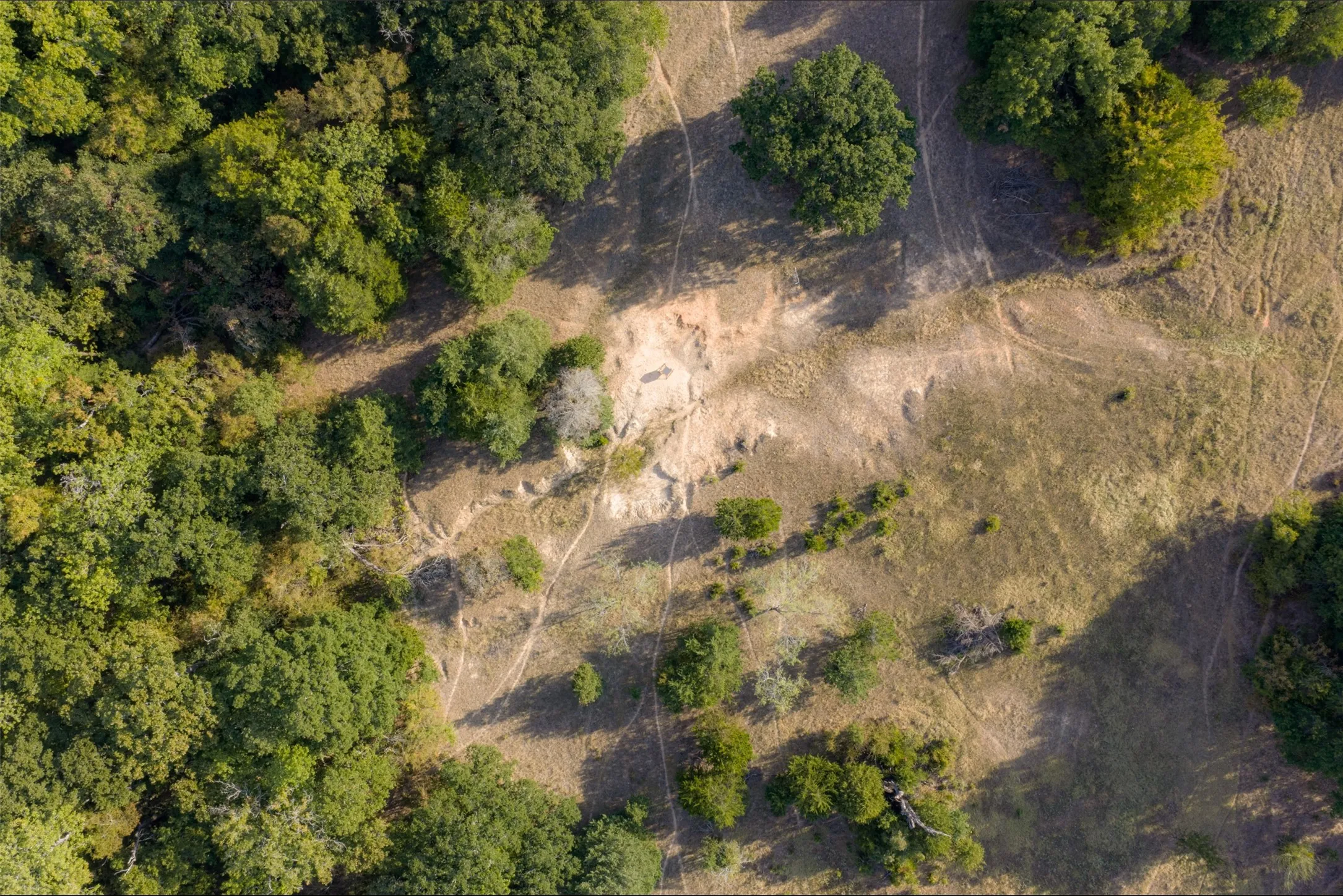 Unimproved Land For Sale in Navarro County , 0 CR 4200, Kerens, Texas 75144, 0, 0, Garage spaces, 0 Sqft, built in 0, mls#21369554, Real Estate Agent in Kerens, Homes For Sale in Navarro county, Homes For Sale in Kerens, Realtor in Kerens Texas, Real Estate Brokerage Independent Realty Texas, Luminita Cordes Realtor