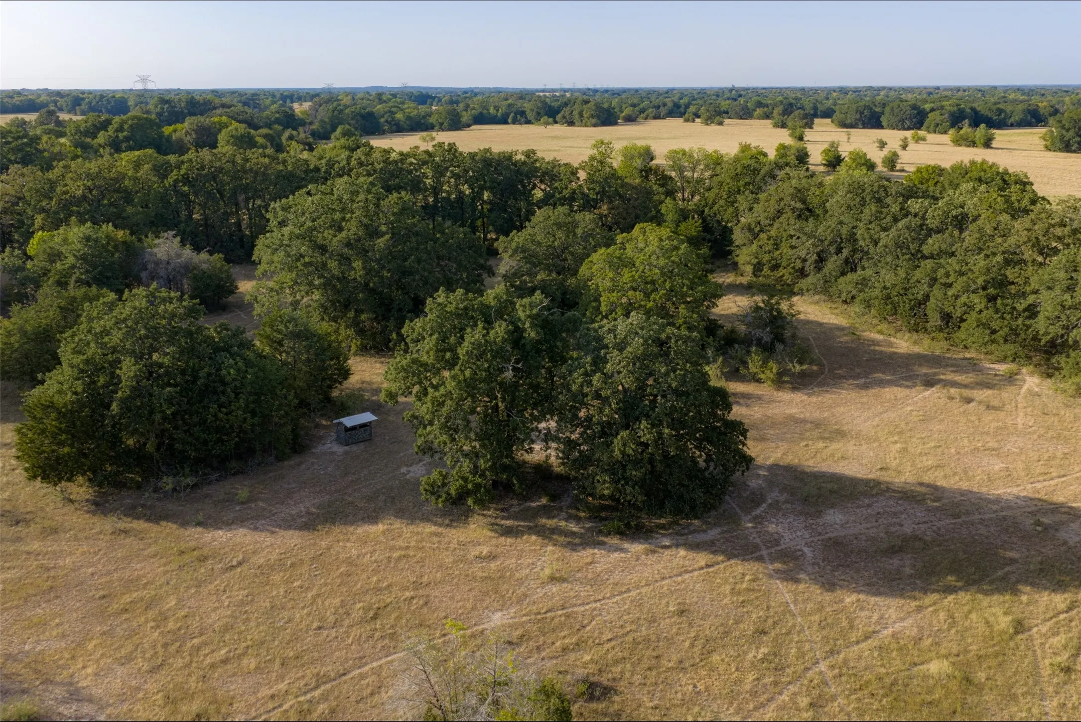 Unimproved Land For Sale in Navarro County , 0 CR 4200, Kerens, Texas 75144, 0, 0, Garage spaces, 0 Sqft, built in 0, mls#21369554, Real Estate Agent in Kerens, Homes For Sale in Navarro county, Homes For Sale in Kerens, Realtor in Kerens Texas, Real Estate Brokerage Independent Realty Texas, Luminita Cordes Realtor