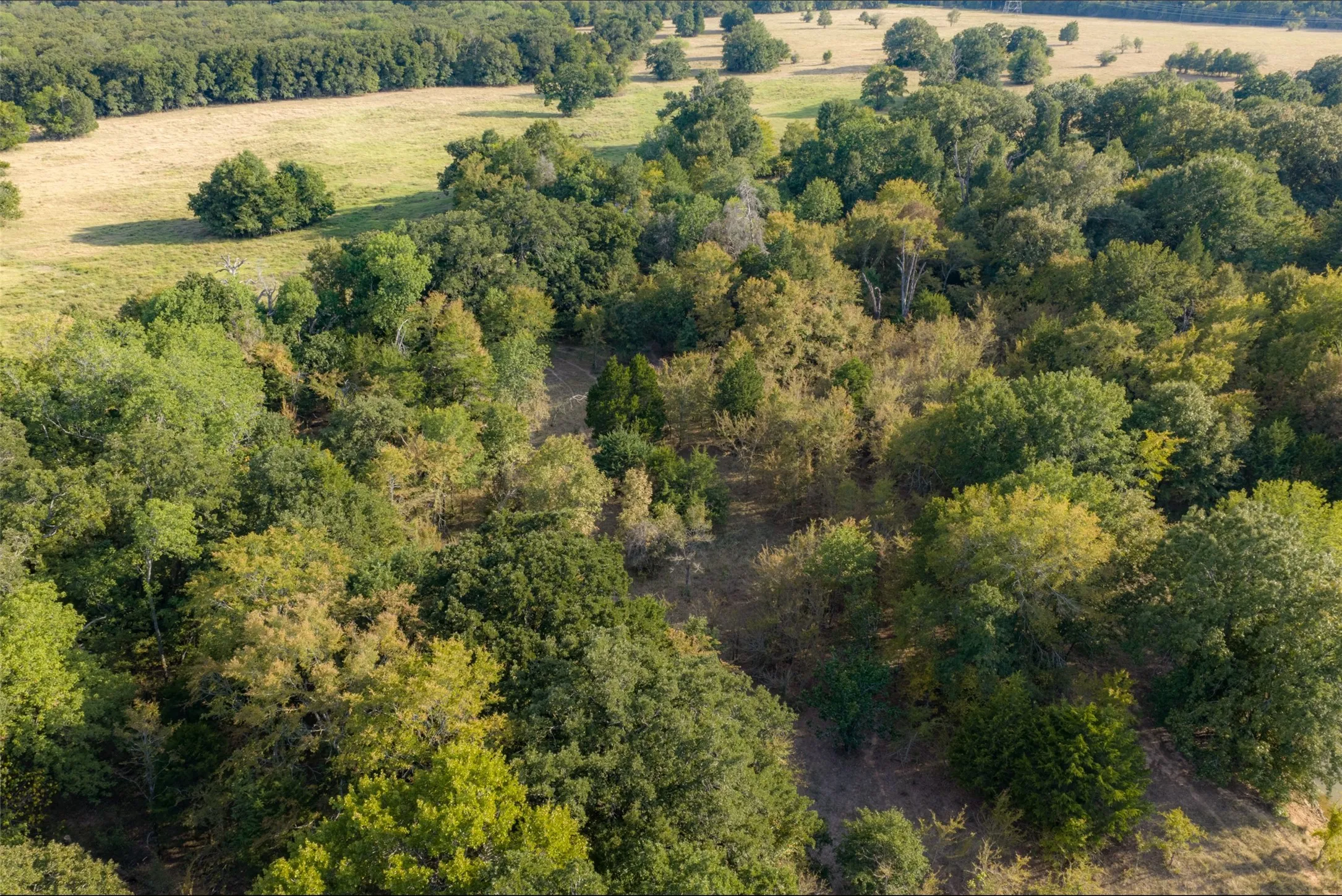 Unimproved Land For Sale in Navarro County , 0 CR 4200, Kerens, Texas 75144, 0, 0, Garage spaces, 0 Sqft, built in 0, mls#21369554, Real Estate Agent in Kerens, Homes For Sale in Navarro county, Homes For Sale in Kerens, Realtor in Kerens Texas, Real Estate Brokerage Independent Realty Texas, Luminita Cordes Realtor