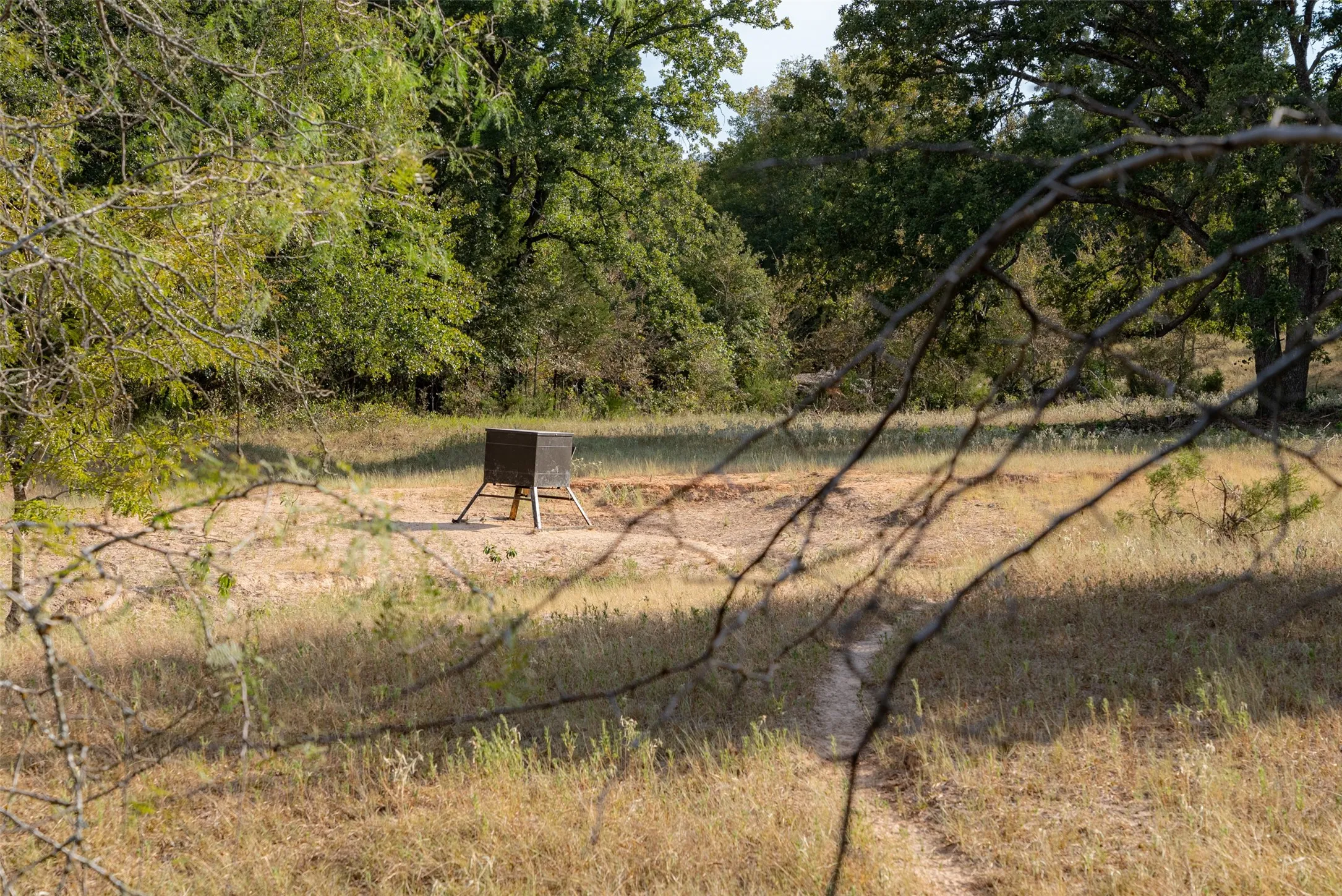 Unimproved Land For Sale in Navarro County , 0 CR 4200, Kerens, Texas 75144, 0, 0, Garage spaces, 0 Sqft, built in 0, mls#21369554, Real Estate Agent in Kerens, Homes For Sale in Navarro county, Homes For Sale in Kerens, Realtor in Kerens Texas, Real Estate Brokerage Independent Realty Texas, Luminita Cordes Realtor