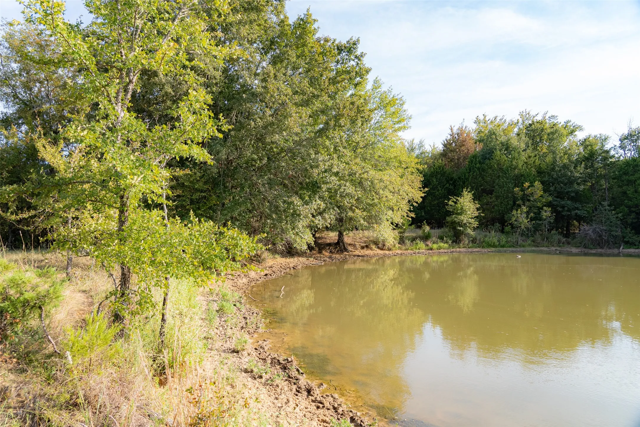 Unimproved Land For Sale in Navarro County , 0 CR 4200, Kerens, Texas 75144, 0, 0, Garage spaces, 0 Sqft, built in 0, mls#21369554, Real Estate Agent in Kerens, Homes For Sale in Navarro county, Homes For Sale in Kerens, Realtor in Kerens Texas, Real Estate Brokerage Independent Realty Texas, Luminita Cordes Realtor