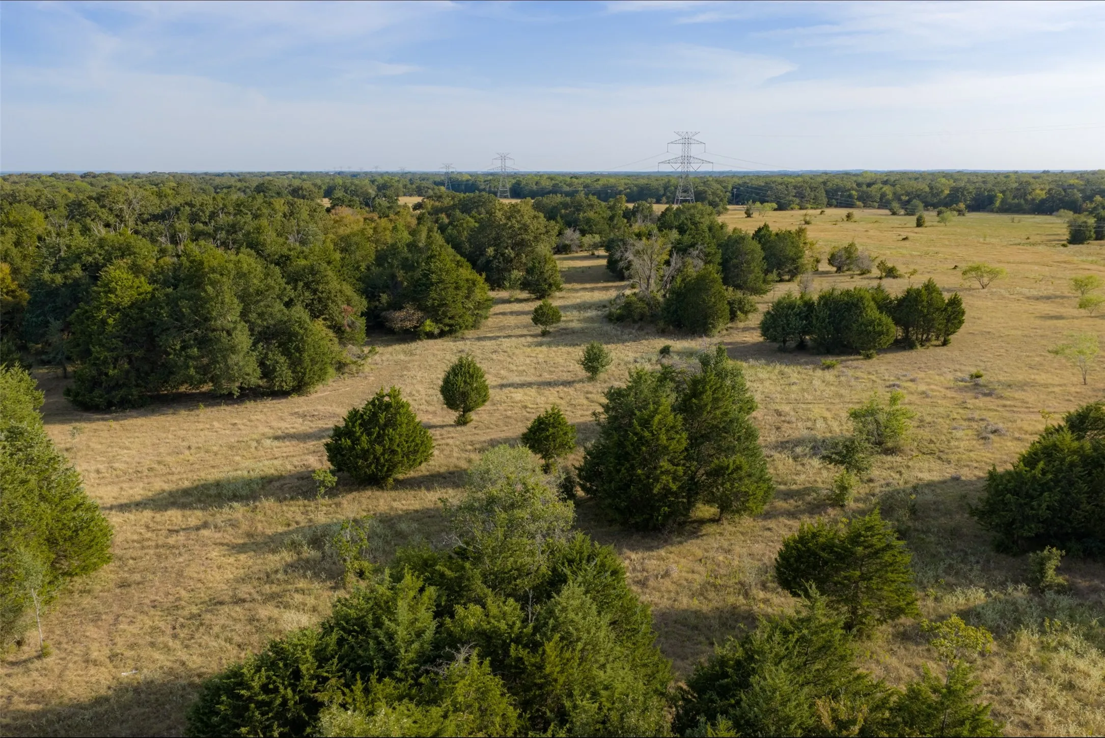 Unimproved Land For Sale in Navarro County , 0 CR 4200, Kerens, Texas 75144, 0, 0, Garage spaces, 0 Sqft, built in 0, mls#21369554, Real Estate Agent in Kerens, Homes For Sale in Navarro county, Homes For Sale in Kerens, Realtor in Kerens Texas, Real Estate Brokerage Independent Realty Texas, Luminita Cordes Realtor