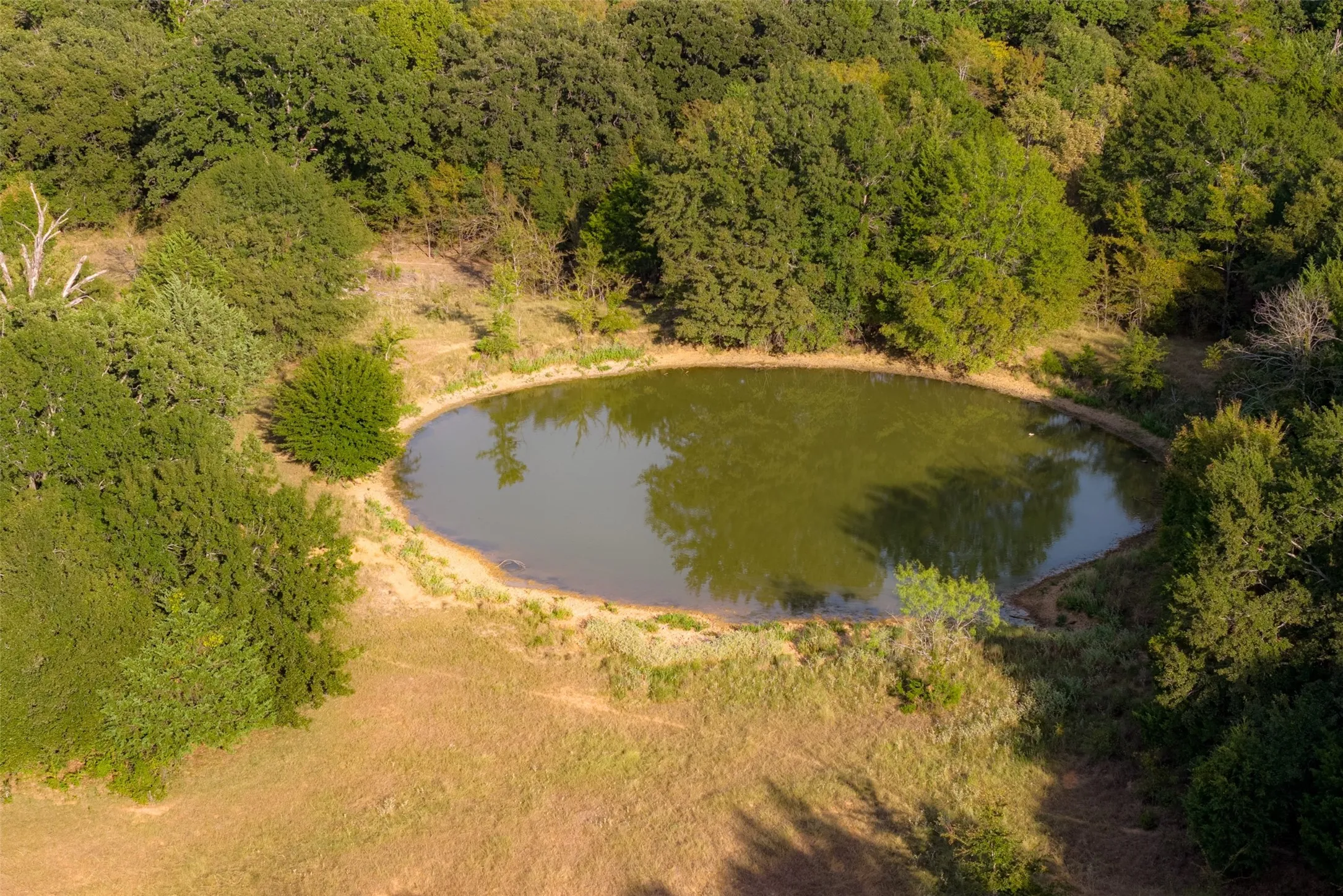 Unimproved Land For Sale in Navarro County , 0 CR 4200, Kerens, Texas 75144, 0, 0, Garage spaces, 0 Sqft, built in 0, mls#21369554, Real Estate Agent in Kerens, Homes For Sale in Navarro county, Homes For Sale in Kerens, Realtor in Kerens Texas, Real Estate Brokerage Independent Realty Texas, Luminita Cordes Realtor