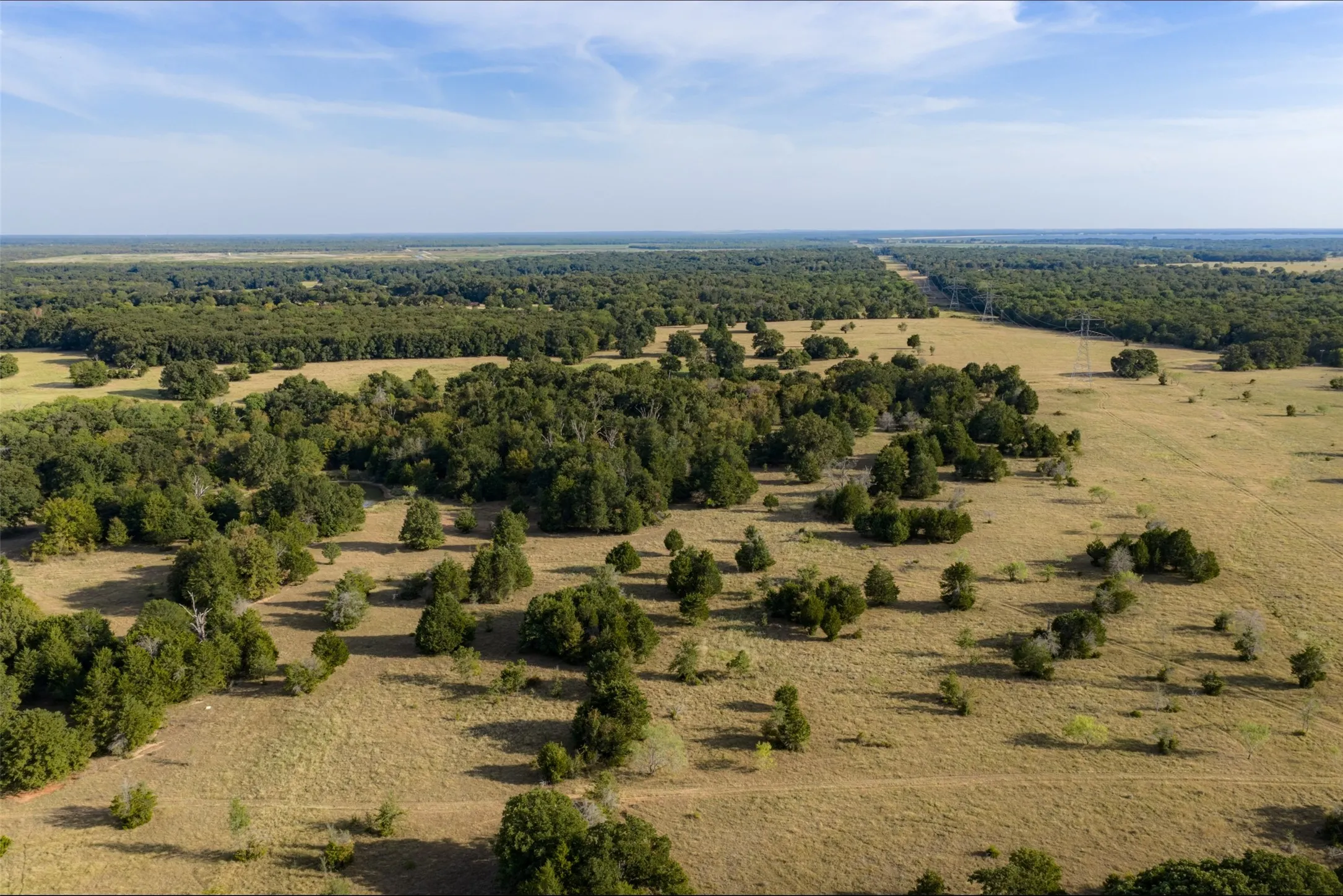 Unimproved Land For Sale in Navarro County , 0 CR 4200, Kerens, Texas 75144, 0, 0, Garage spaces, 0 Sqft, built in 0, mls#21369554, Real Estate Agent in Kerens, Homes For Sale in Navarro county, Homes For Sale in Kerens, Realtor in Kerens Texas, Real Estate Brokerage Independent Realty Texas, Luminita Cordes Realtor