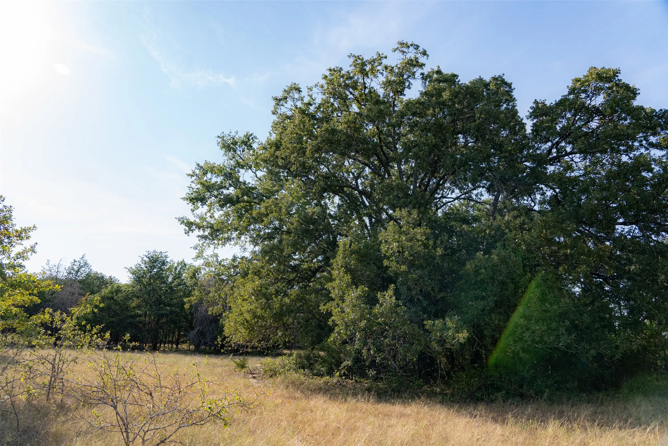 Unimproved Land For Sale in Navarro County , 0 CR 4200, Kerens, Texas 75144, 0, 0, Garage spaces, 0 Sqft, built in 0, mls#21369554, Real Estate Agent in Kerens, Homes For Sale in Navarro county, Homes For Sale in Kerens, Realtor in Kerens Texas, Real Estate Brokerage Independent Realty Texas, Luminita Cordes Realtor
