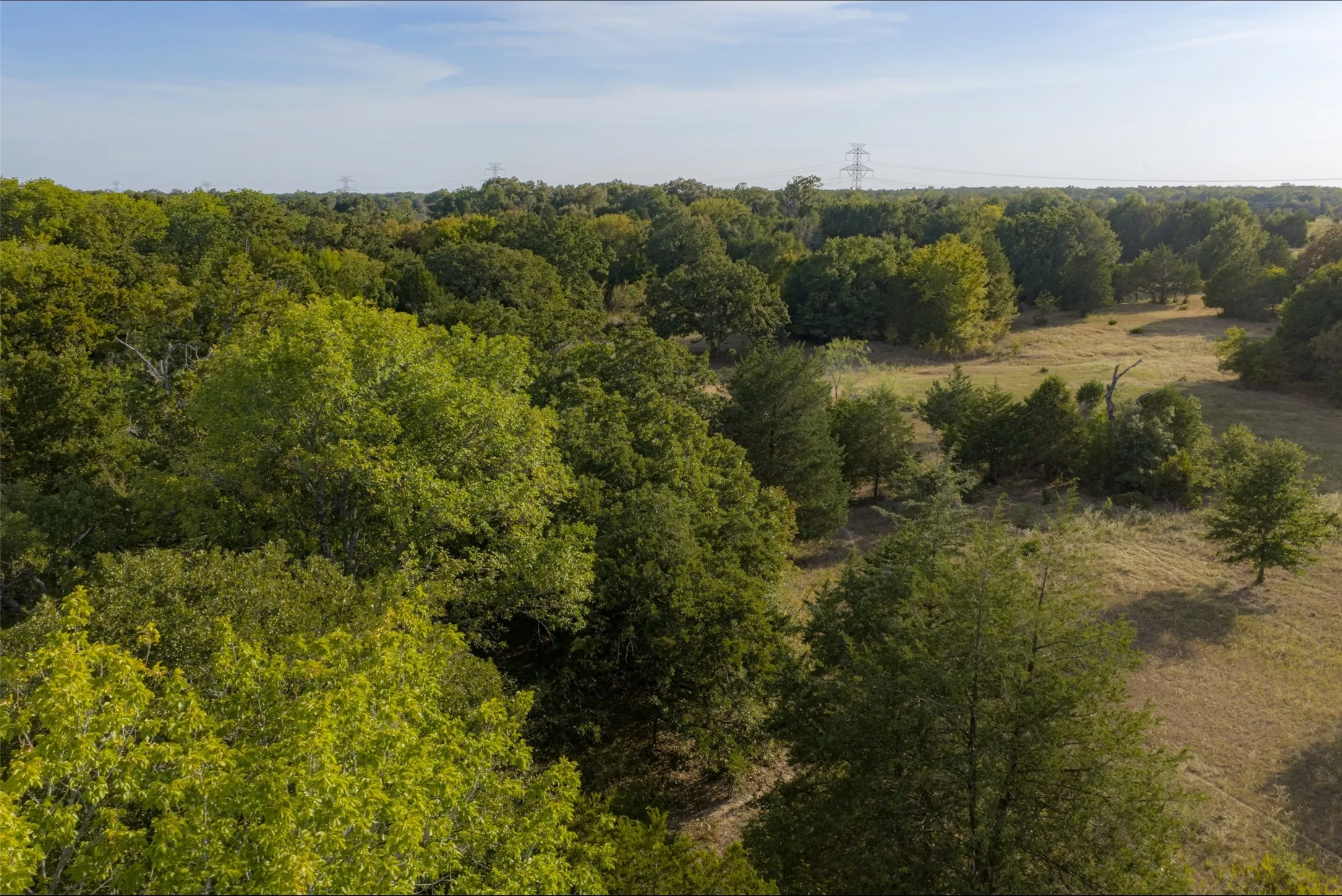 Unimproved Land For Sale in Navarro County , 0 CR 4200, Kerens, Texas 75144, 0, 0, Garage spaces, 0 Sqft, built in 0, mls#21369554, Real Estate Agent in Kerens, Homes For Sale in Navarro county, Homes For Sale in Kerens, Realtor in Kerens Texas, Real Estate Brokerage Independent Realty Texas, Luminita Cordes Realtor