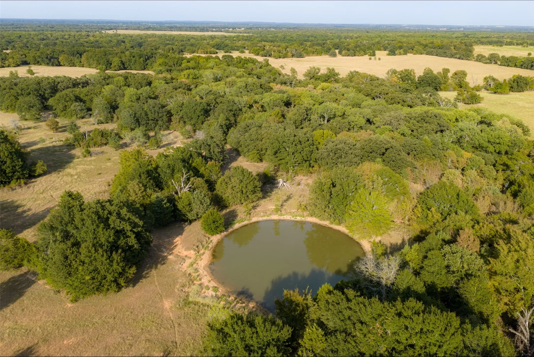 Unimproved Land For Sale in Navarro County , 0 CR 4200, Kerens, Texas 75144, 0, 0, Garage spaces, 0 Sqft, built in 0, mls#21369554, Real Estate Agent in Kerens, Homes For Sale in Navarro county, Homes For Sale in Kerens, Realtor in Kerens Texas, Real Estate Brokerage Independent Realty Texas, Luminita Cordes Realtor