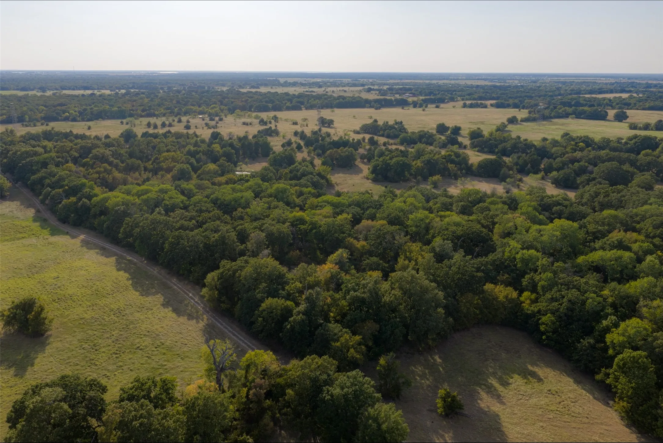 Unimproved Land For Sale in Navarro County , 0 CR 4200, Kerens, Texas 75144, 0, 0, Garage spaces, 0 Sqft, built in 0, mls#21369554, Real Estate Agent in Kerens, Homes For Sale in Navarro county, Homes For Sale in Kerens, Realtor in Kerens Texas, Real Estate Brokerage Independent Realty Texas, Luminita Cordes Realtor