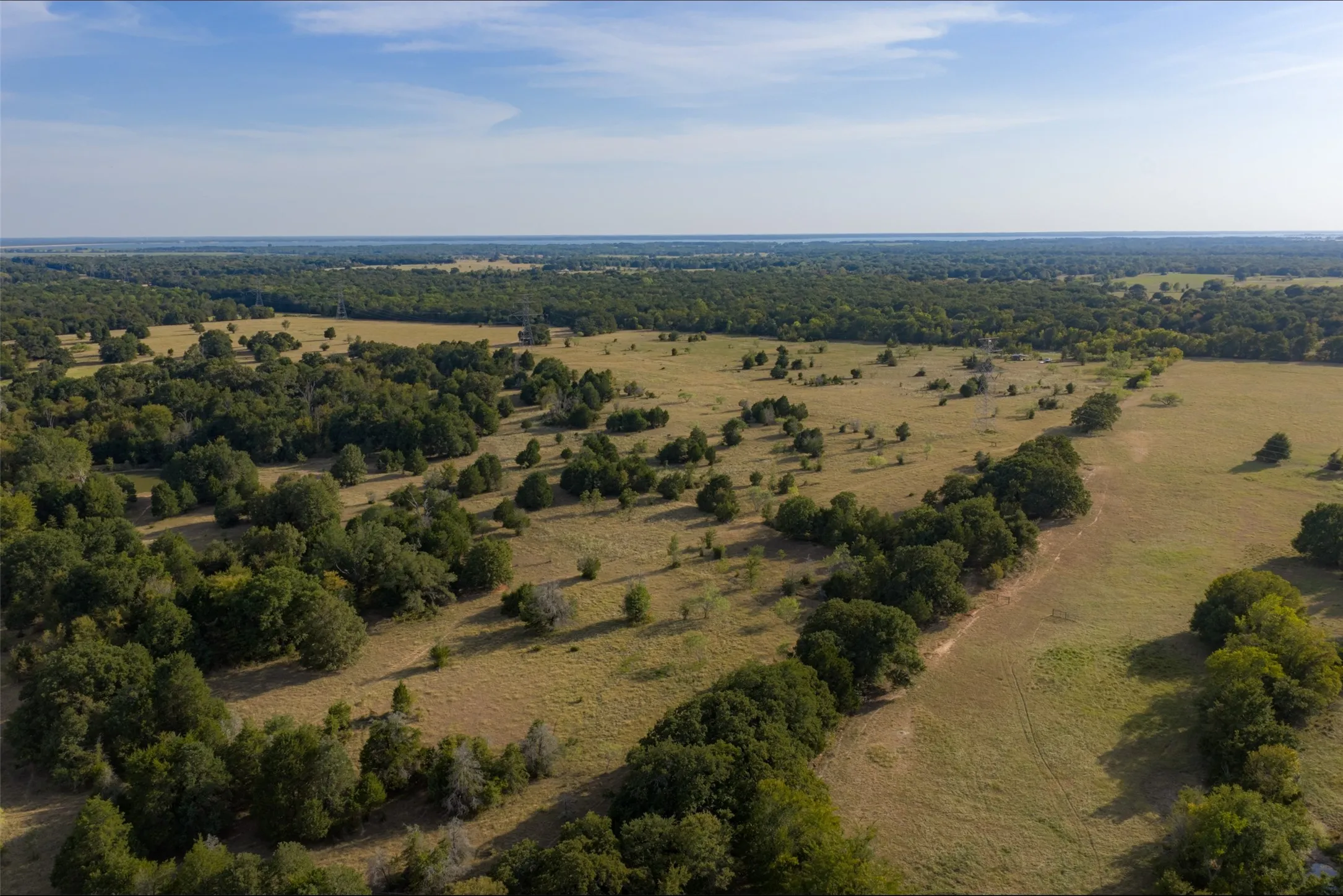 Unimproved Land For Sale in Navarro County , 0 CR 4200, Kerens, Texas 75144, 0, 0, Garage spaces, 0 Sqft, built in 0, mls#21369554, Real Estate Agent in Kerens, Homes For Sale in Navarro county, Homes For Sale in Kerens, Realtor in Kerens Texas, Real Estate Brokerage Independent Realty Texas, Luminita Cordes Realtor
