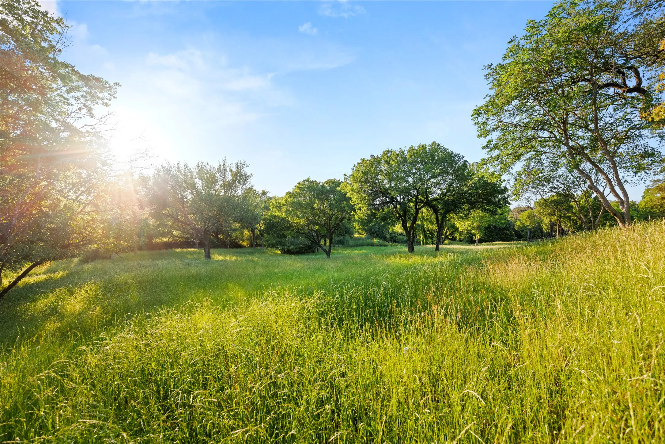Improved Land For Sale in Mc Lennan County , 962 Oak and Clover Ridge, Waco, Texas 76657, 0, 0, Garage spaces, 0 Sqft, built in 0, mls#21369558, Real Estate Agent in Waco, Homes For Sale in Mc Lennan county, Homes For Sale in Waco, Realtor in Waco Texas, Real Estate Brokerage Independent Realty Texas, Luminita Cordes Realtor