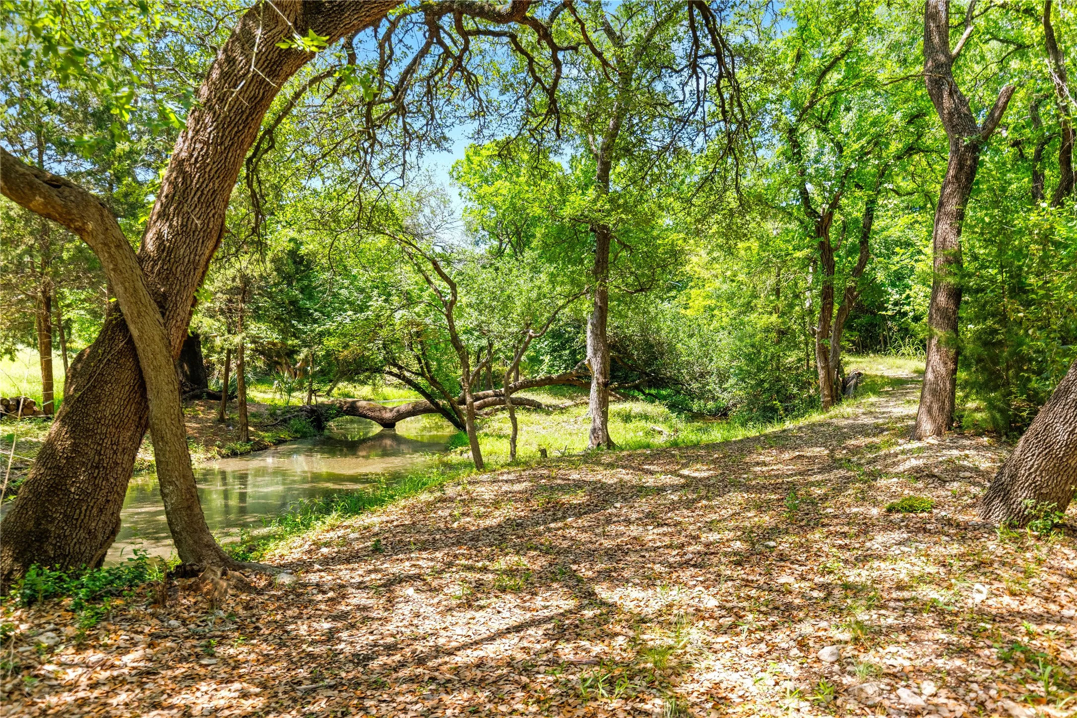 Improved Land For Sale in Mc Lennan County , 962 Oak and Clover Ridge, Waco, Texas 76657, 0, 0, Garage spaces, 0 Sqft, built in 0, mls#21369558, Real Estate Agent in Waco, Homes For Sale in Mc Lennan county, Homes For Sale in Waco, Realtor in Waco Texas, Real Estate Brokerage Independent Realty Texas, Luminita Cordes Realtor