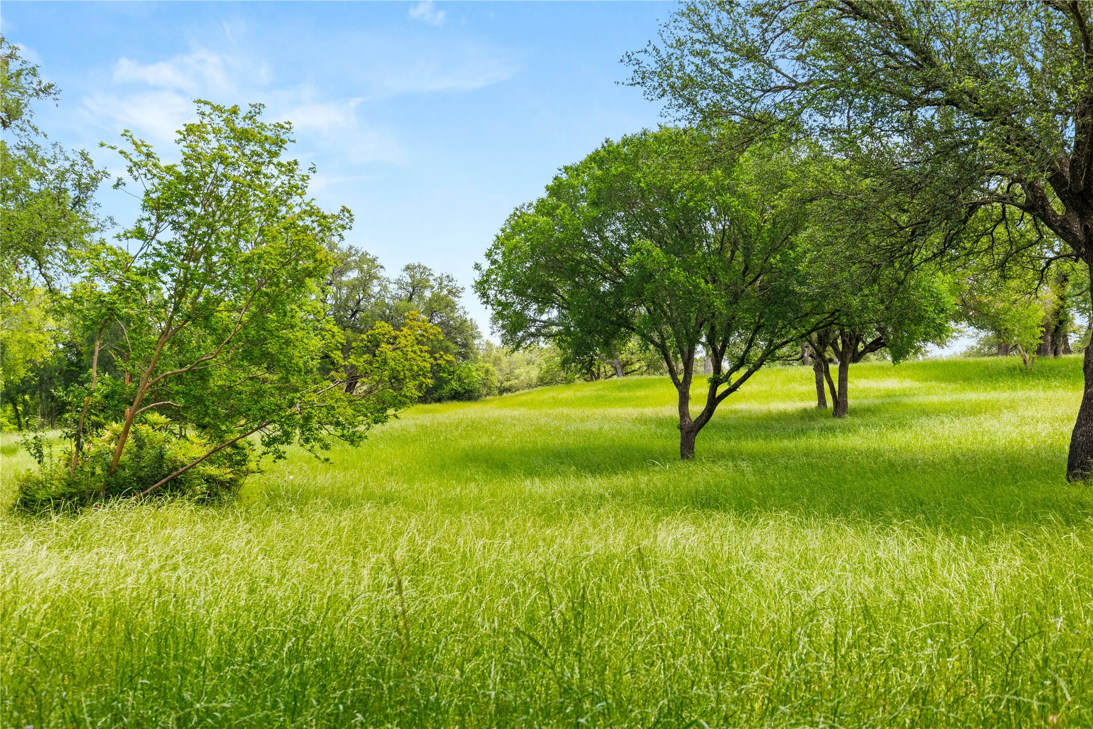 Improved Land For Sale in Mc Lennan County , 962 Oak and Clover Ridge, Waco, Texas 76657, 0, 0, Garage spaces, 0 Sqft, built in 0, mls#21369558, Real Estate Agent in Waco, Homes For Sale in Mc Lennan county, Homes For Sale in Waco, Realtor in Waco Texas, Real Estate Brokerage Independent Realty Texas, Luminita Cordes Realtor