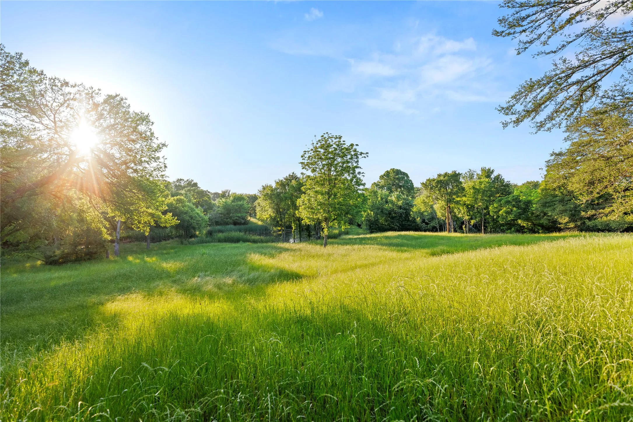 Improved Land For Sale in Mc Lennan County , 962 Oak and Clover Ridge, Waco, Texas 76657, 0, 0, Garage spaces, 0 Sqft, built in 0, mls#21369558, Real Estate Agent in Waco, Homes For Sale in Mc Lennan county, Homes For Sale in Waco, Realtor in Waco Texas, Real Estate Brokerage Independent Realty Texas, Luminita Cordes Realtor