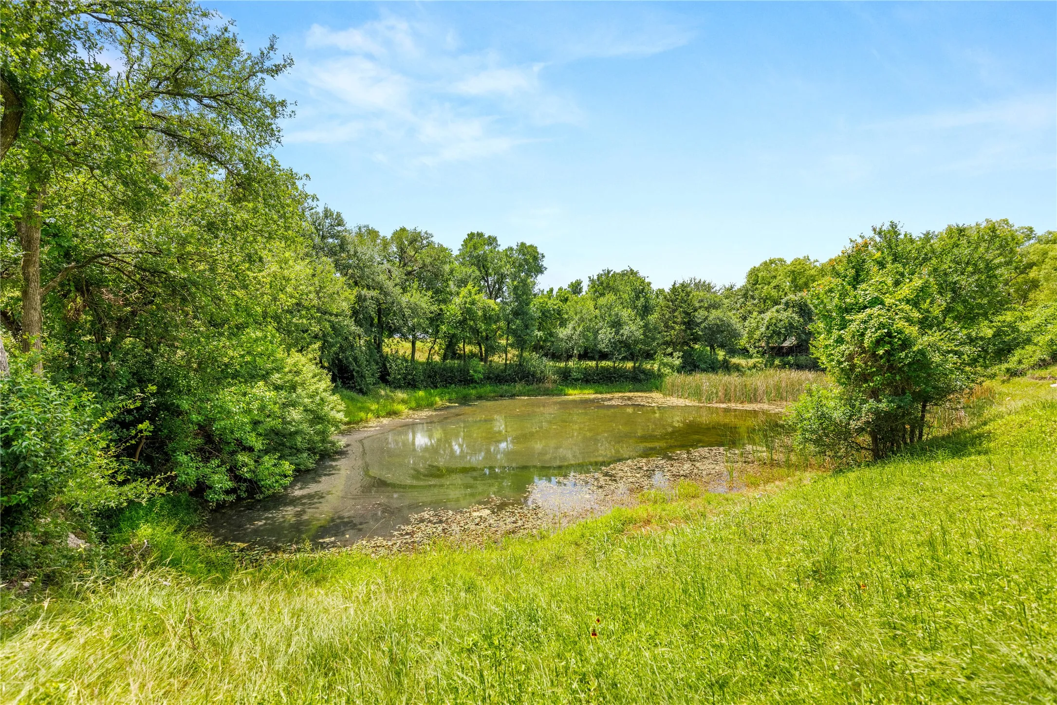 Improved Land For Sale in Mc Lennan County , 962 Oak and Clover Ridge, Waco, Texas 76657, 0, 0, Garage spaces, 0 Sqft, built in 0, mls#21369558, Real Estate Agent in Waco, Homes For Sale in Mc Lennan county, Homes For Sale in Waco, Realtor in Waco Texas, Real Estate Brokerage Independent Realty Texas, Luminita Cordes Realtor