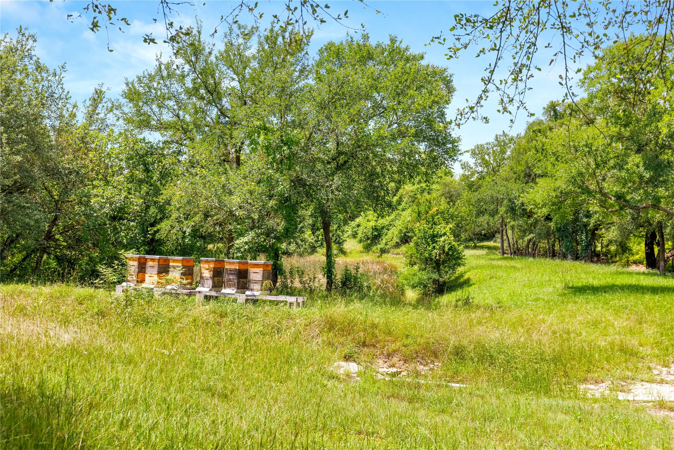 Improved Land For Sale in Mc Lennan County , 962 Oak and Clover Ridge, Waco, Texas 76657, 0, 0, Garage spaces, 0 Sqft, built in 0, mls#21369558, Real Estate Agent in Waco, Homes For Sale in Mc Lennan county, Homes For Sale in Waco, Realtor in Waco Texas, Real Estate Brokerage Independent Realty Texas, Luminita Cordes Realtor