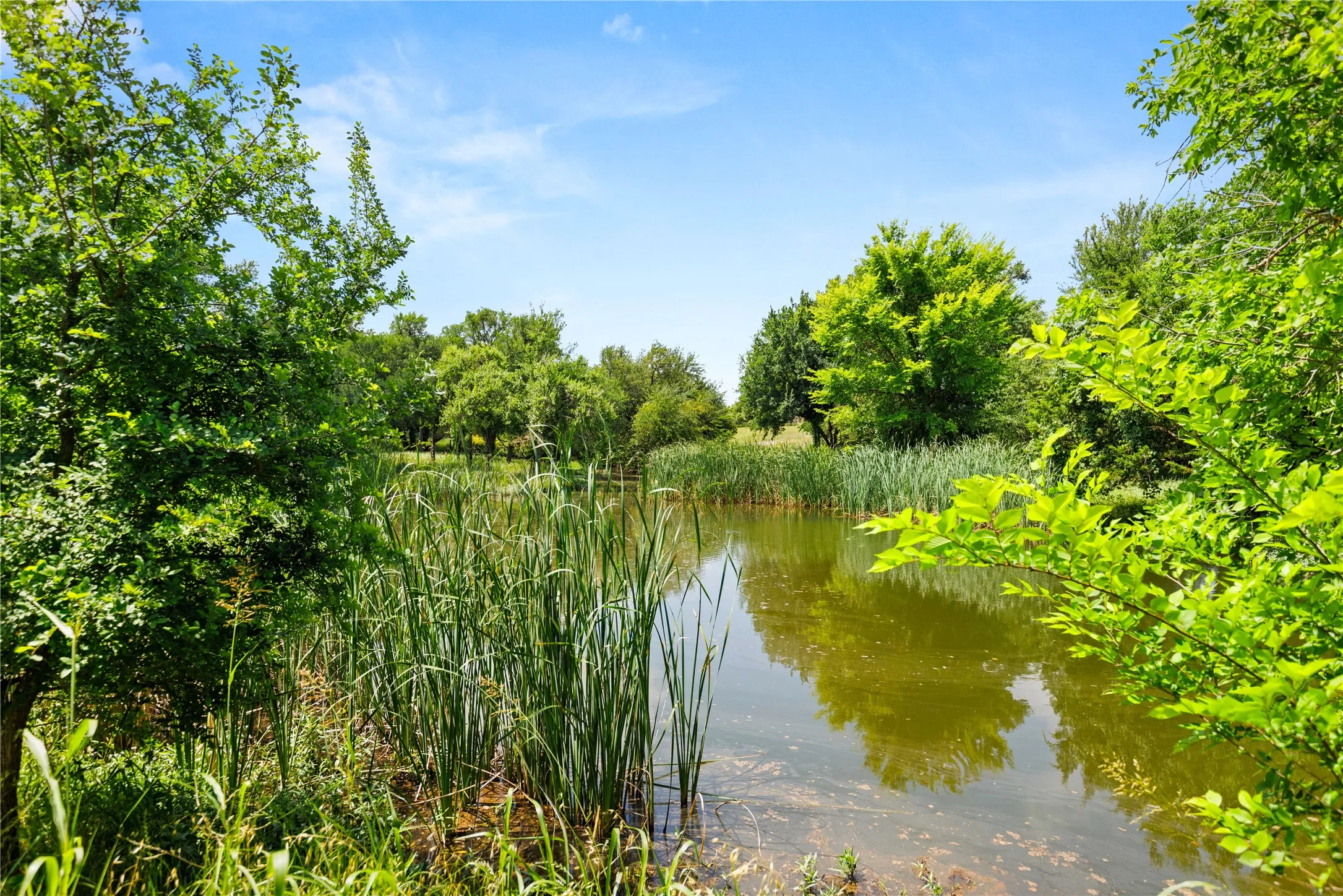Improved Land For Sale in Mc Lennan County , 962 Oak and Clover Ridge, Waco, Texas 76657, 0, 0, Garage spaces, 0 Sqft, built in 0, mls#21369558, Real Estate Agent in Waco, Homes For Sale in Mc Lennan county, Homes For Sale in Waco, Realtor in Waco Texas, Real Estate Brokerage Independent Realty Texas, Luminita Cordes Realtor