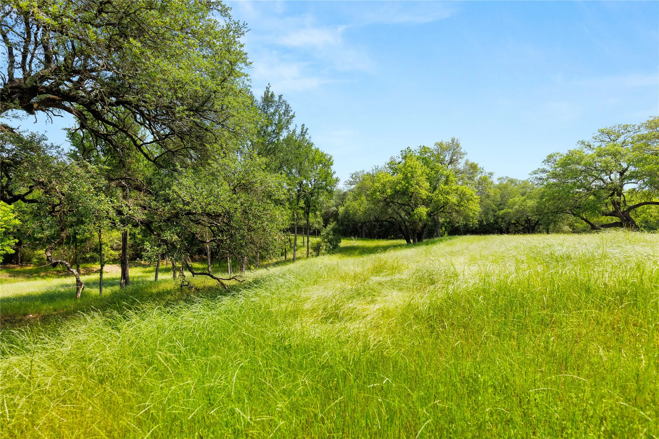 Improved Land For Sale in Mc Lennan County , 962 Oak and Clover Ridge, Waco, Texas 76657, 0, 0, Garage spaces, 0 Sqft, built in 0, mls#21369558, Real Estate Agent in Waco, Homes For Sale in Mc Lennan county, Homes For Sale in Waco, Realtor in Waco Texas, Real Estate Brokerage Independent Realty Texas, Luminita Cordes Realtor