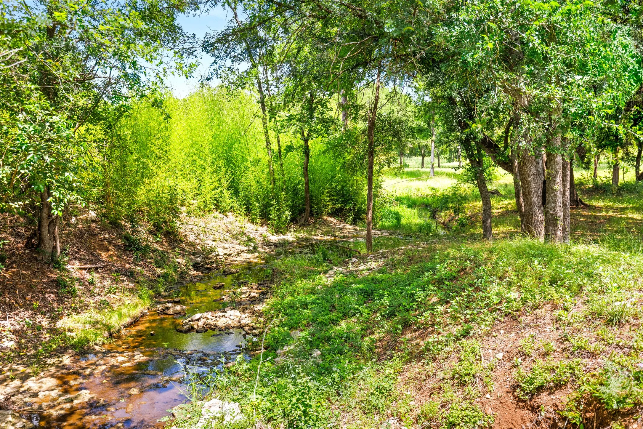 Improved Land For Sale in Mc Lennan County , 962 Oak and Clover Ridge, Waco, Texas 76657, 0, 0, Garage spaces, 0 Sqft, built in 0, mls#21369558, Real Estate Agent in Waco, Homes For Sale in Mc Lennan county, Homes For Sale in Waco, Realtor in Waco Texas, Real Estate Brokerage Independent Realty Texas, Luminita Cordes Realtor