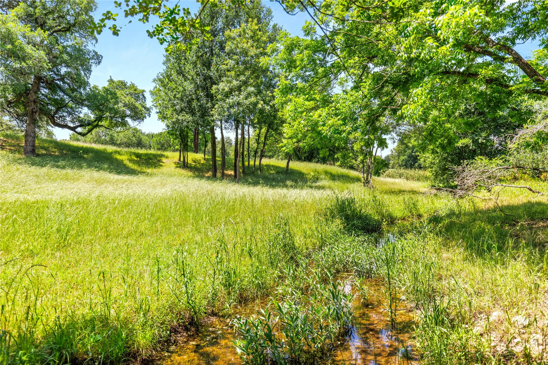 Improved Land For Sale in Mc Lennan County , 962 Oak and Clover Ridge, Waco, Texas 76657, 0, 0, Garage spaces, 0 Sqft, built in 0, mls#21369558, Real Estate Agent in Waco, Homes For Sale in Mc Lennan county, Homes For Sale in Waco, Realtor in Waco Texas, Real Estate Brokerage Independent Realty Texas, Luminita Cordes Realtor
