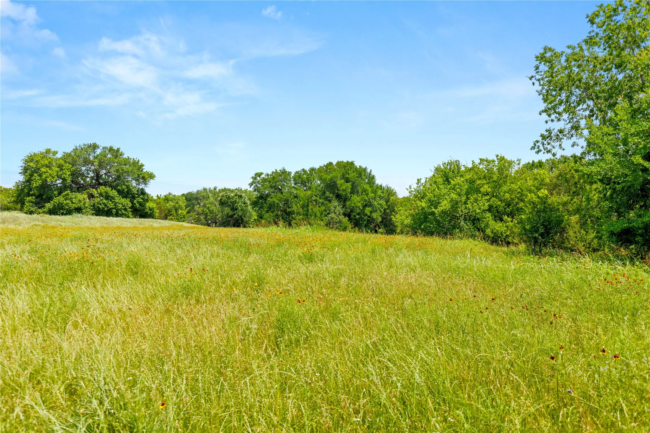 Improved Land For Sale in Mc Lennan County , 962 Oak and Clover Ridge, Waco, Texas 76657, 0, 0, Garage spaces, 0 Sqft, built in 0, mls#21369558, Real Estate Agent in Waco, Homes For Sale in Mc Lennan county, Homes For Sale in Waco, Realtor in Waco Texas, Real Estate Brokerage Independent Realty Texas, Luminita Cordes Realtor