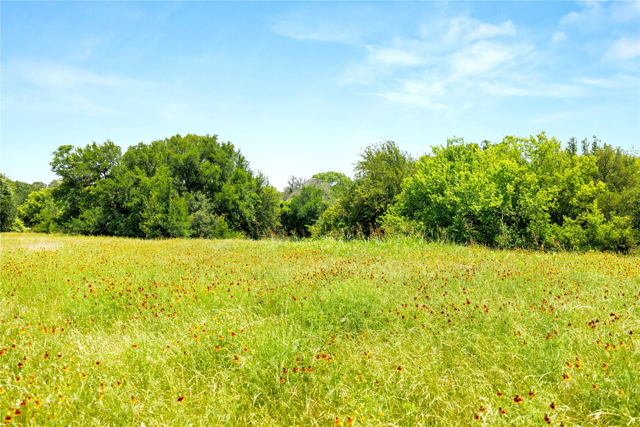 Improved Land For Sale in Mc Lennan County , 962 Oak and Clover Ridge, Waco, Texas 76657, 0, 0, Garage spaces, 0 Sqft, built in 0, mls#21369558, Real Estate Agent in Waco, Homes For Sale in Mc Lennan county, Homes For Sale in Waco, Realtor in Waco Texas, Real Estate Brokerage Independent Realty Texas, Luminita Cordes Realtor