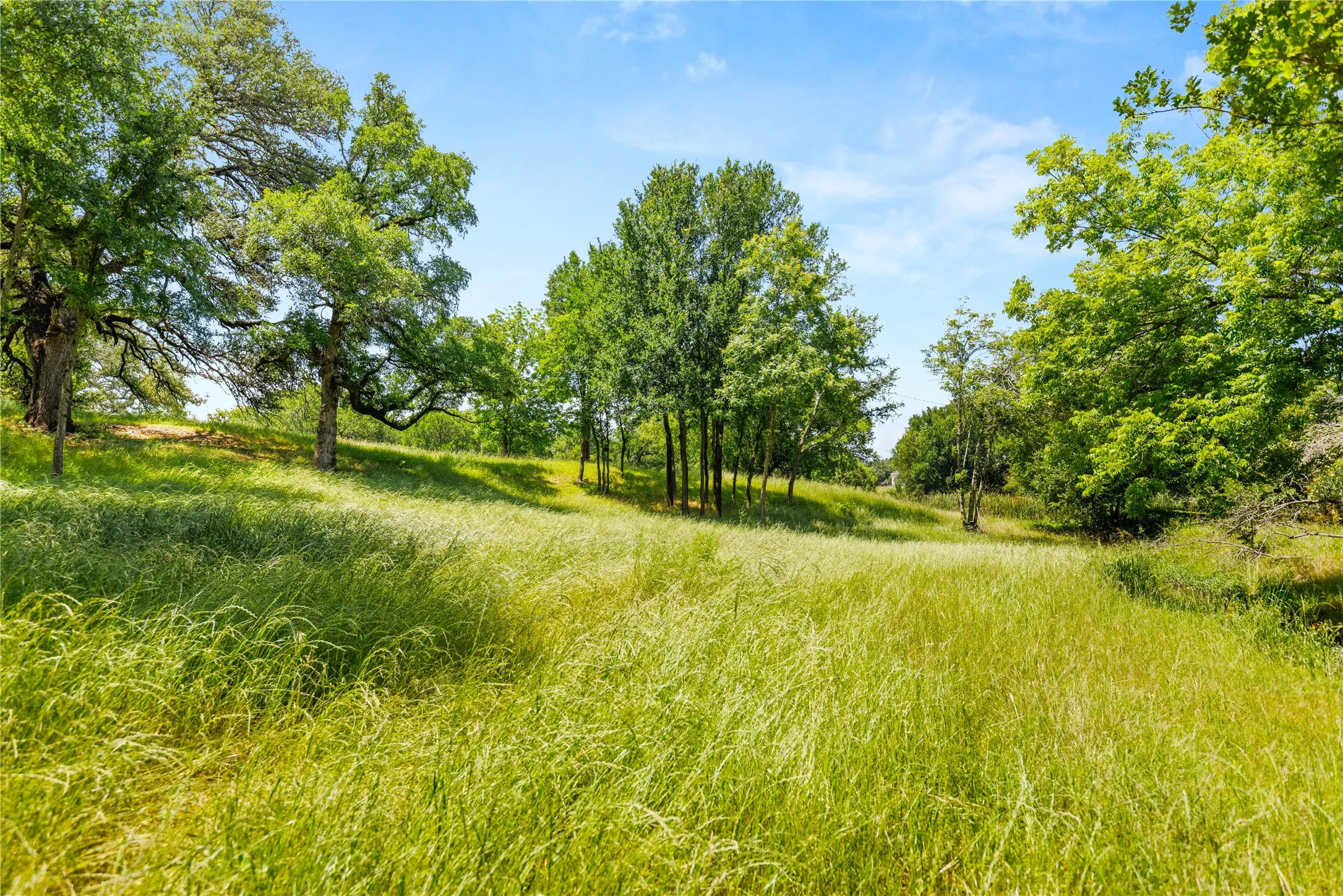 Improved Land For Sale in Mc Lennan County , 962 Oak and Clover Ridge, Waco, Texas 76657, 0, 0, Garage spaces, 0 Sqft, built in 0, mls#21369558, Real Estate Agent in Waco, Homes For Sale in Mc Lennan county, Homes For Sale in Waco, Realtor in Waco Texas, Real Estate Brokerage Independent Realty Texas, Luminita Cordes Realtor