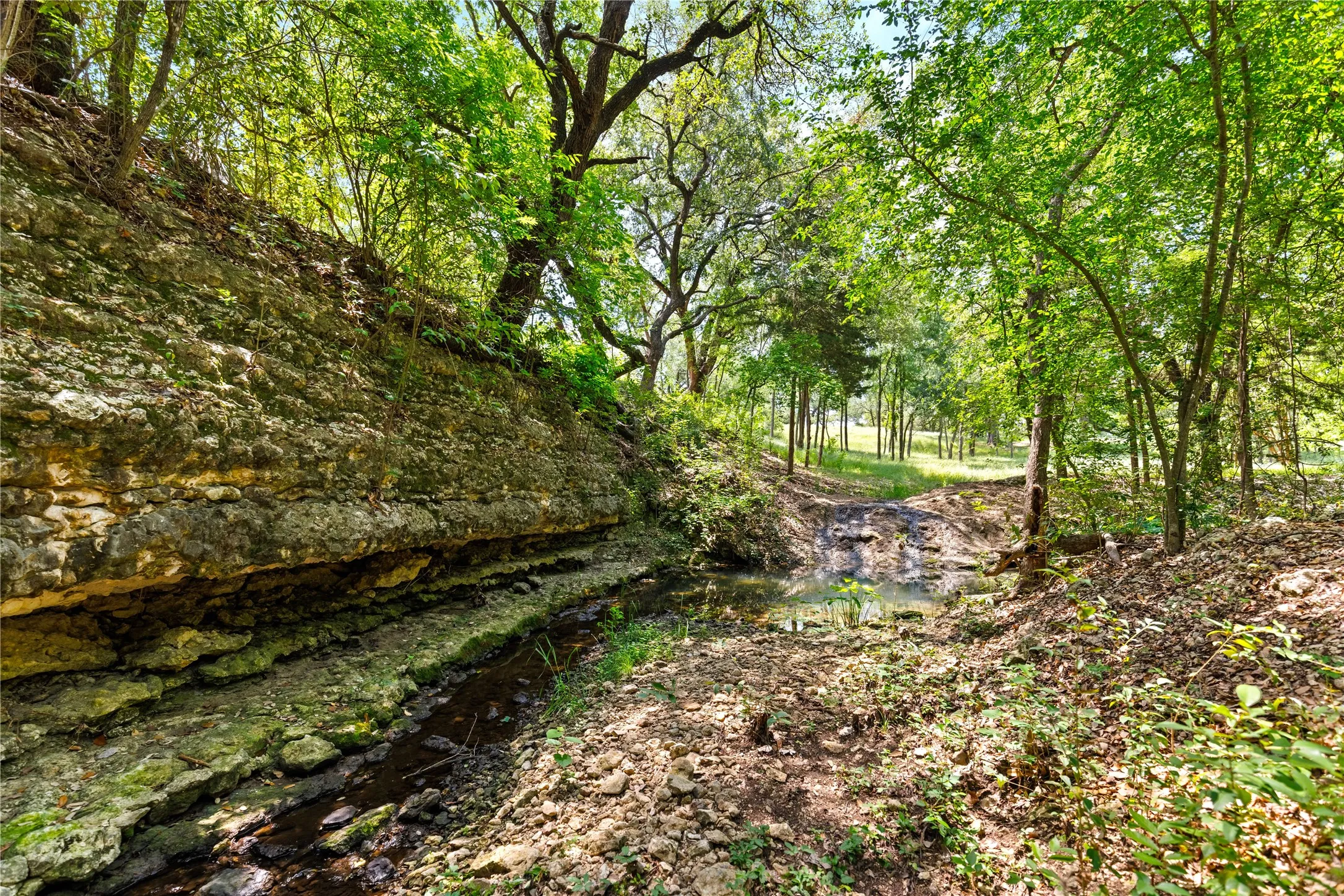 Improved Land For Sale in Mc Lennan County , 962 Oak and Clover Ridge, Waco, Texas 76657, 0, 0, Garage spaces, 0 Sqft, built in 0, mls#21369558, Real Estate Agent in Waco, Homes For Sale in Mc Lennan county, Homes For Sale in Waco, Realtor in Waco Texas, Real Estate Brokerage Independent Realty Texas, Luminita Cordes Realtor