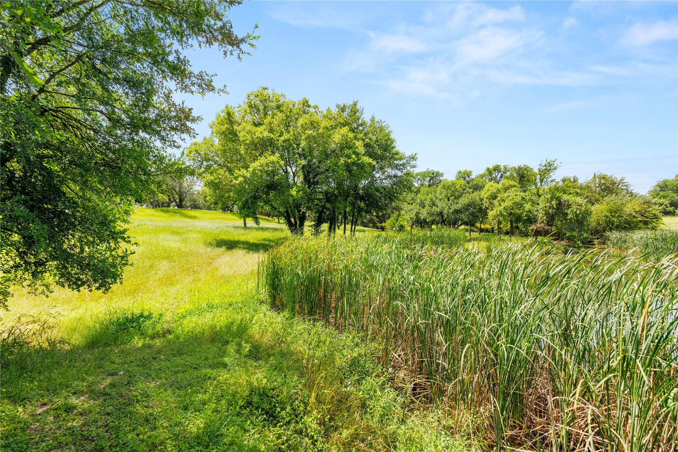 Improved Land For Sale in Mc Lennan County , 962 Oak and Clover Ridge, Waco, Texas 76657, 0, 0, Garage spaces, 0 Sqft, built in 0, mls#21369558, Real Estate Agent in Waco, Homes For Sale in Mc Lennan county, Homes For Sale in Waco, Realtor in Waco Texas, Real Estate Brokerage Independent Realty Texas, Luminita Cordes Realtor
