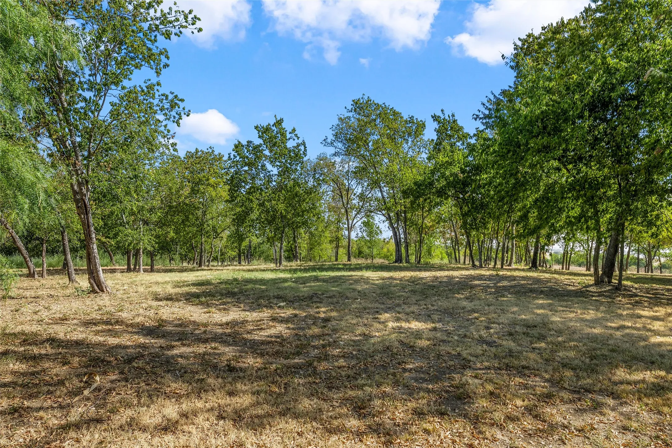 Single Family Residence For Sale in Mc Lennan County , 1488 Mcgary Road, Waco, Texas 76708, 3 Bedroom, 2 Bathroom, Garage spaces, 1,539 Sqft, built in 1960, mls#21369298, Real Estate Agent in Waco, Homes For Sale in Mc Lennan county, Homes For Sale in Waco, Realtor in Waco Texas, Real Estate Brokerage Independent Realty Texas, Luminita Cordes Realtor