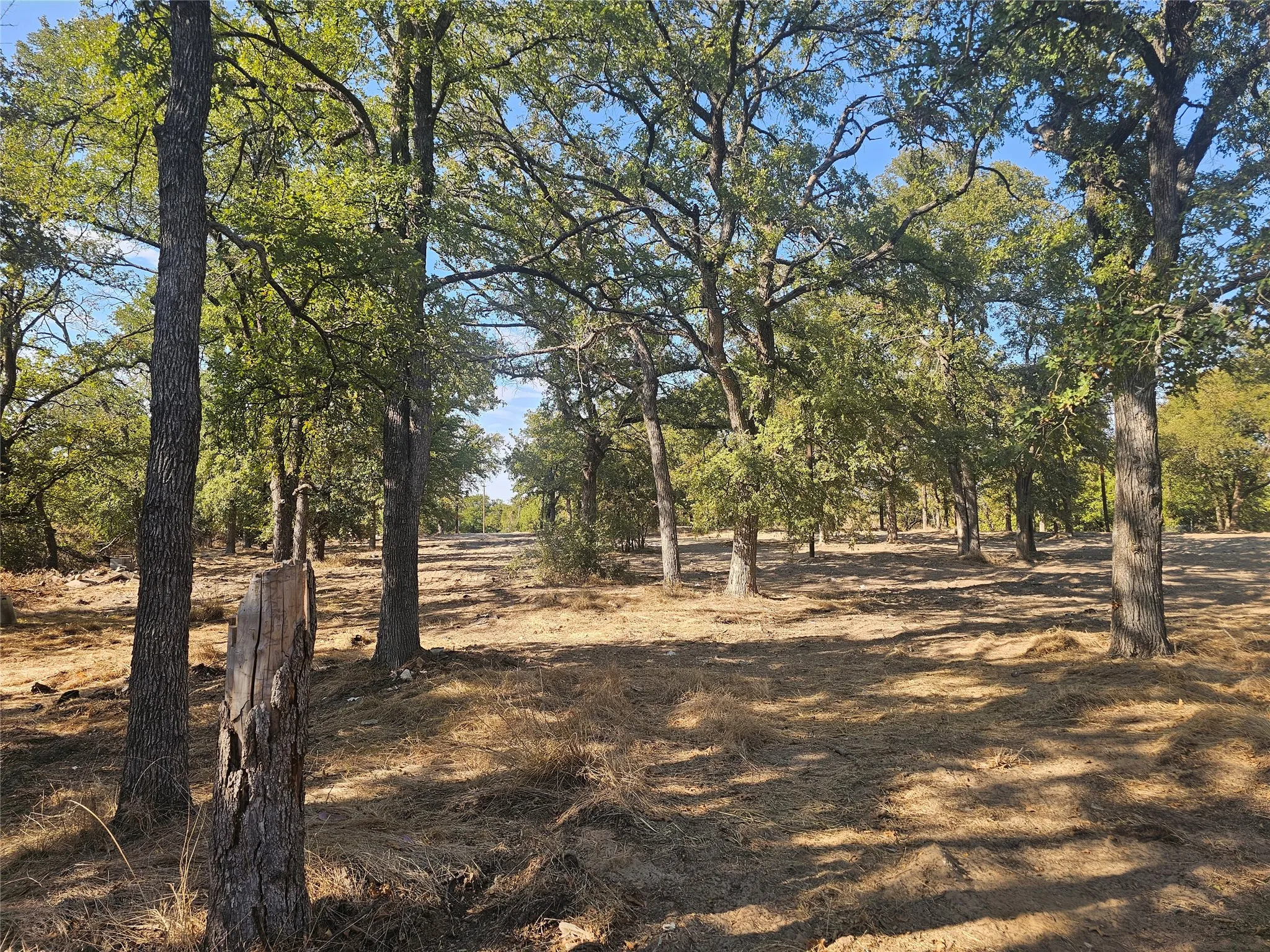 Improved Land For Sale in Parker County , 1680 Rhonda B Road, Reno, Texas 76020, 0, 0, Garage spaces, 0 Sqft, built in 0, mls#21369400, Real Estate Agent in Reno, Homes For Sale in Parker county, Homes For Sale in Reno, Realtor in Reno Texas, Real Estate Brokerage Independent Realty Texas, Luminita Cordes Realtor