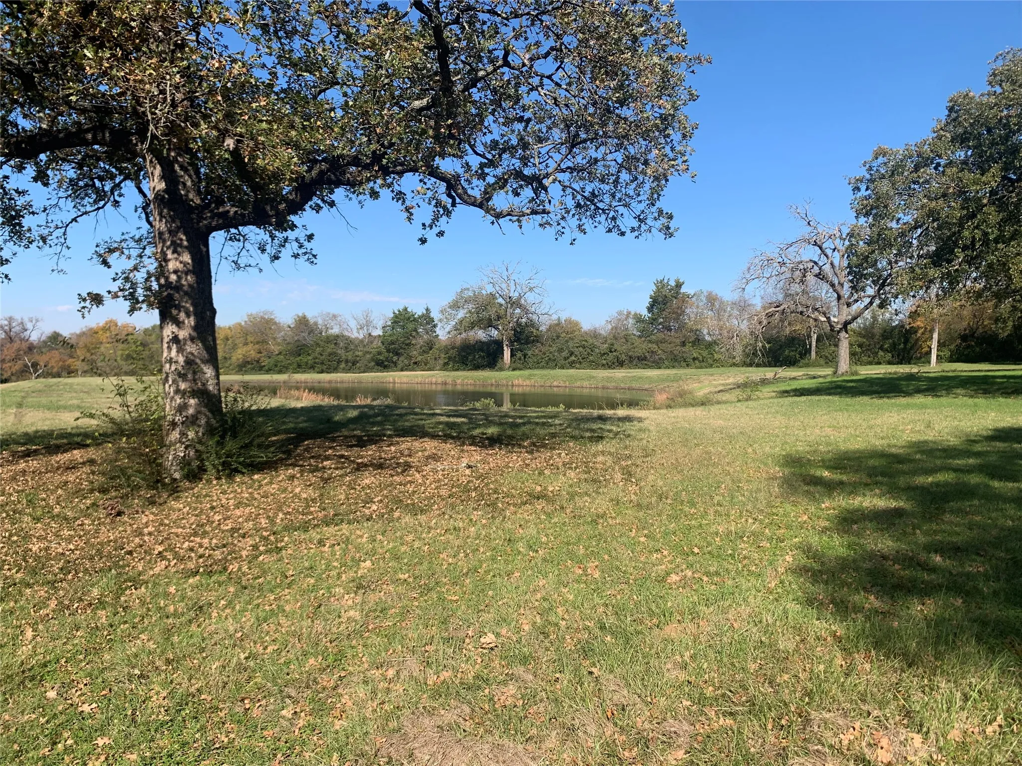 Unimproved Land For Sale in Kaufman County , 806 Adams Lane, Kaufman, Texas 75142, 0, 0, Garage spaces, 0 Sqft, built in 0, mls#21369574, Real Estate Agent in Kaufman, Homes For Sale in Kaufman county, Homes For Sale in Kaufman, Realtor in Kaufman Texas, Real Estate Brokerage Independent Realty Texas, Luminita Cordes Realtor