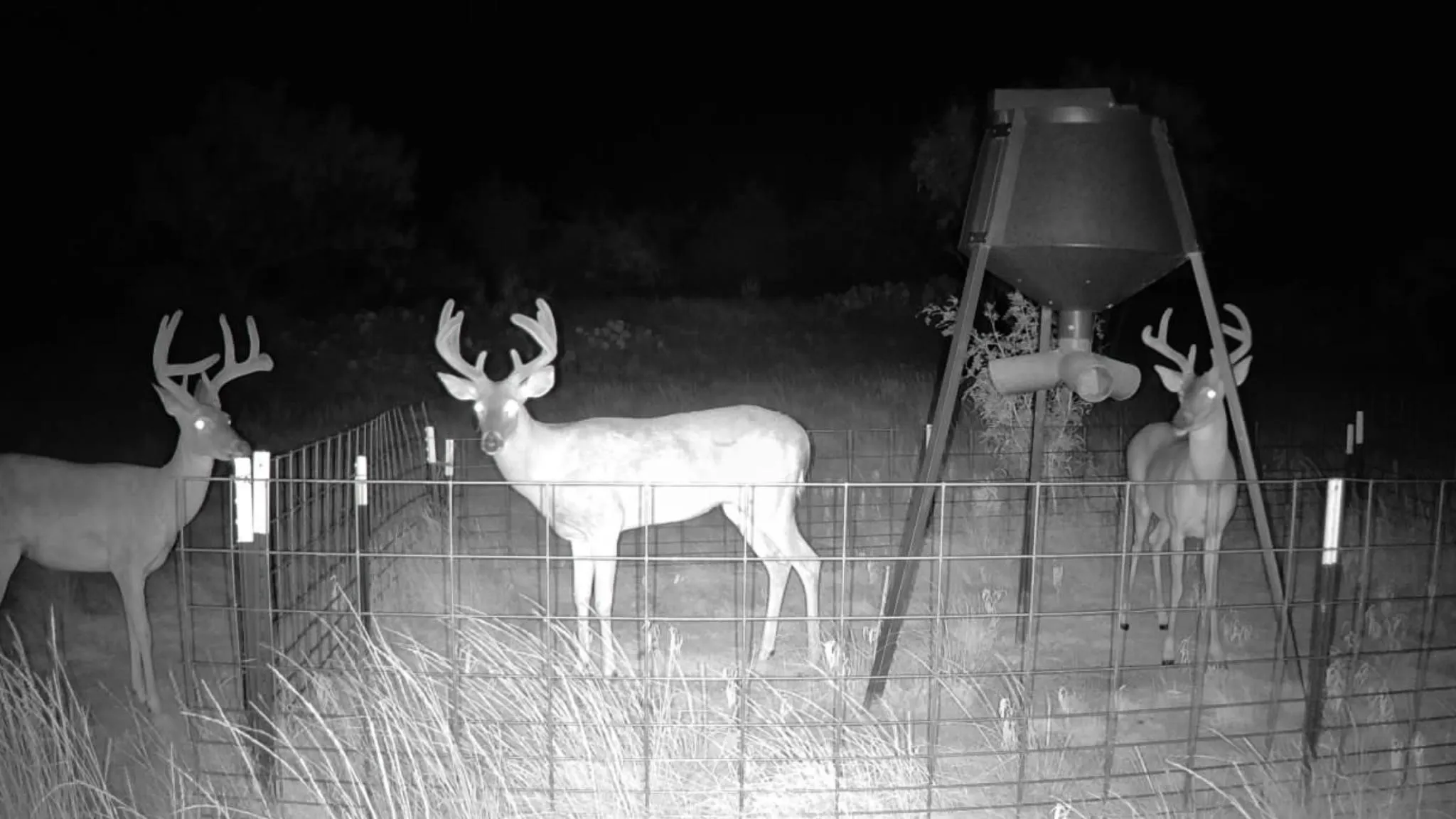 2026 game camera