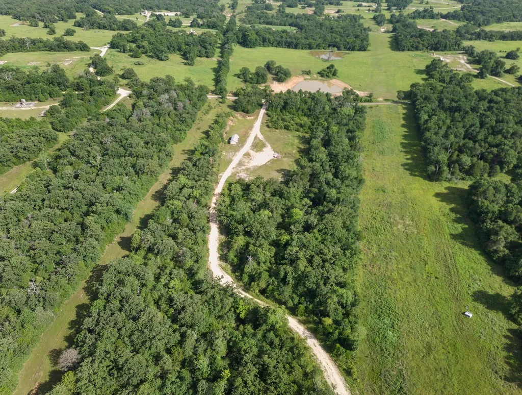 View of property location of heavily wooded area